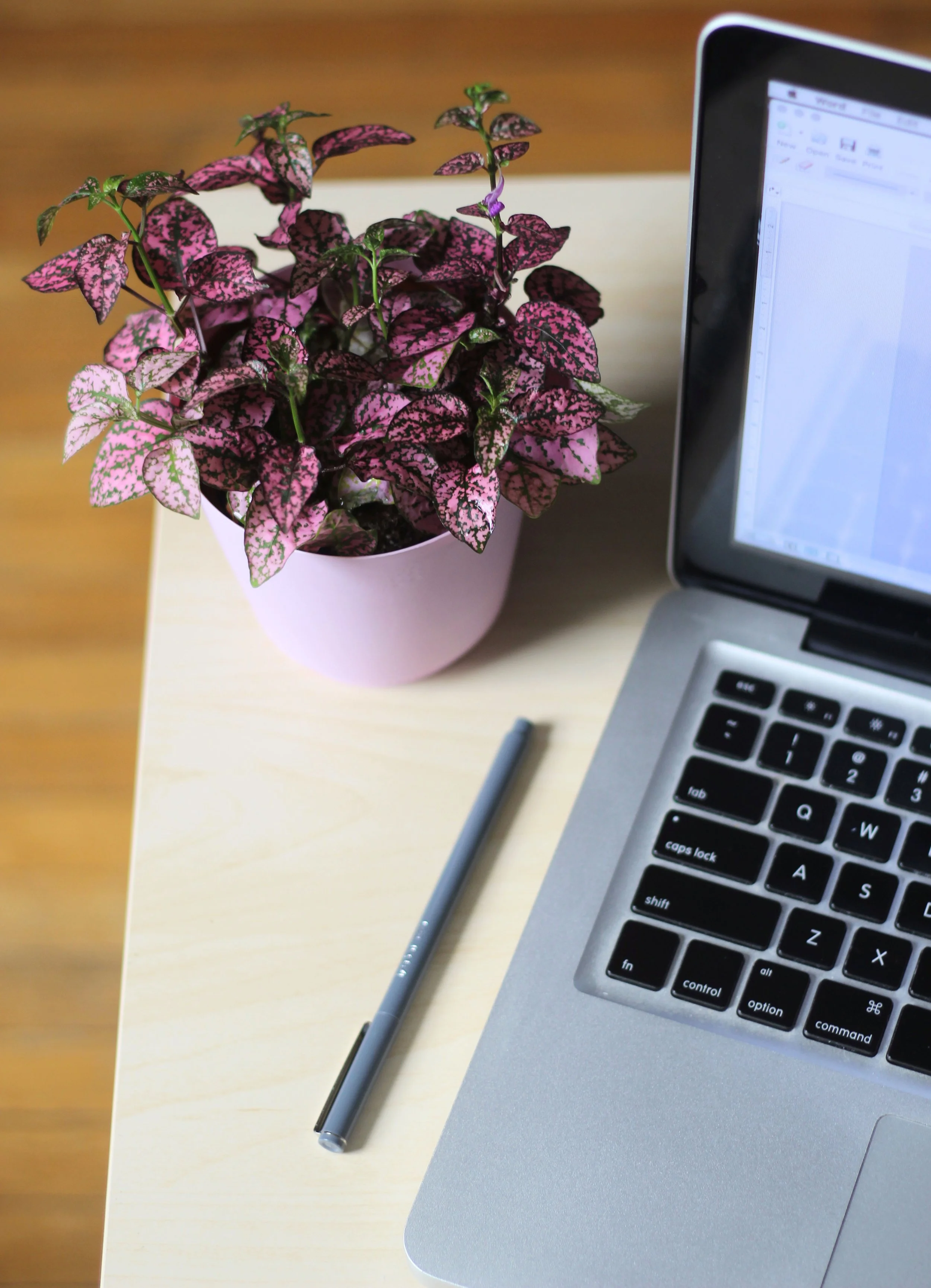 laptop_table_plant.jpg