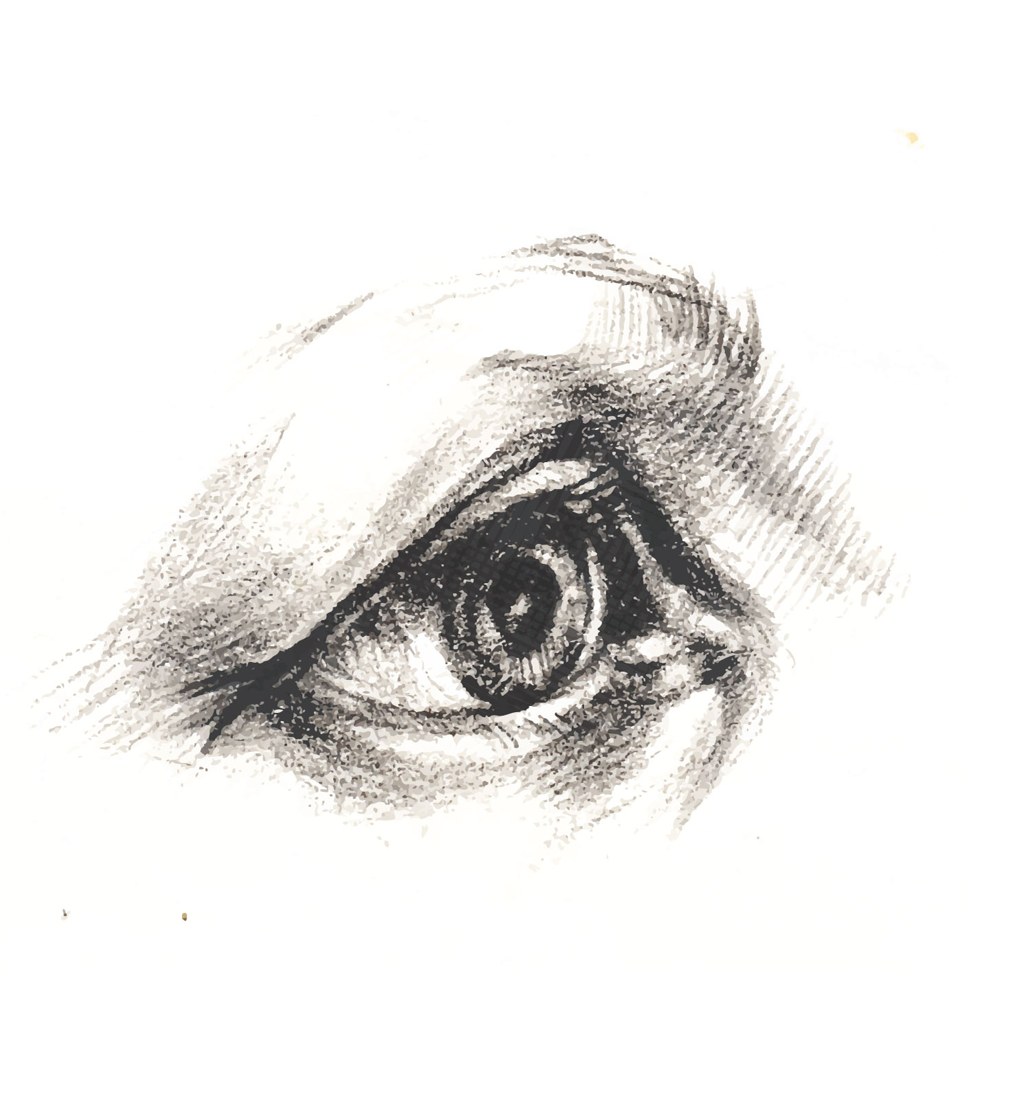 eye-sketch.jpg