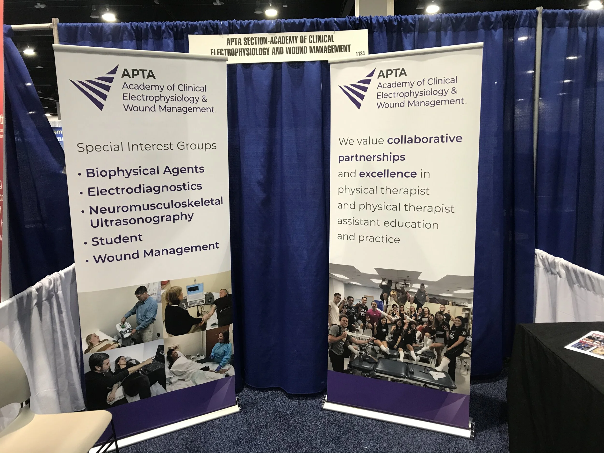 APTA SECTION-ACADEMY OF CLINICAL.jpg