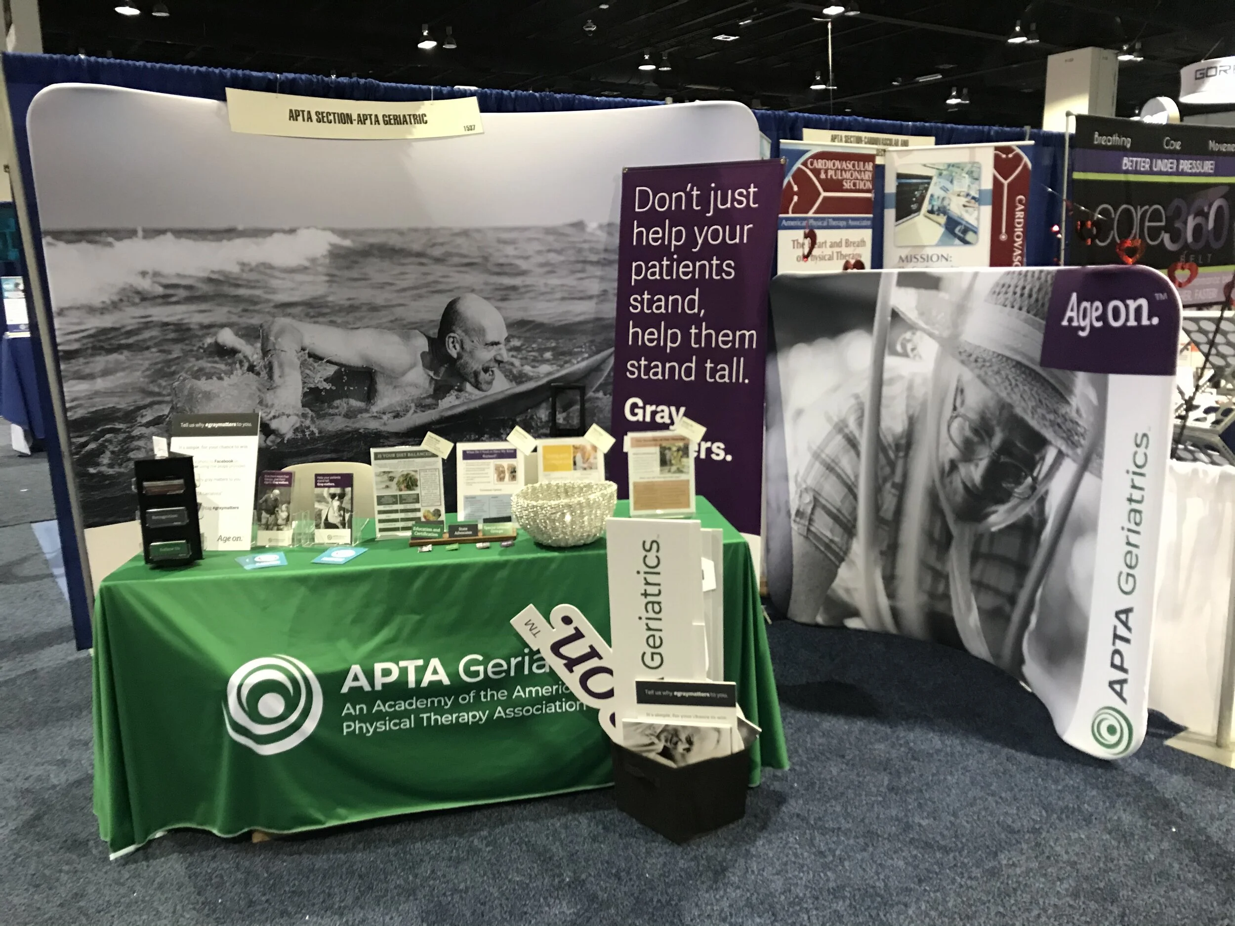 APTA SECTION-APTA GERIATRIC.jpg