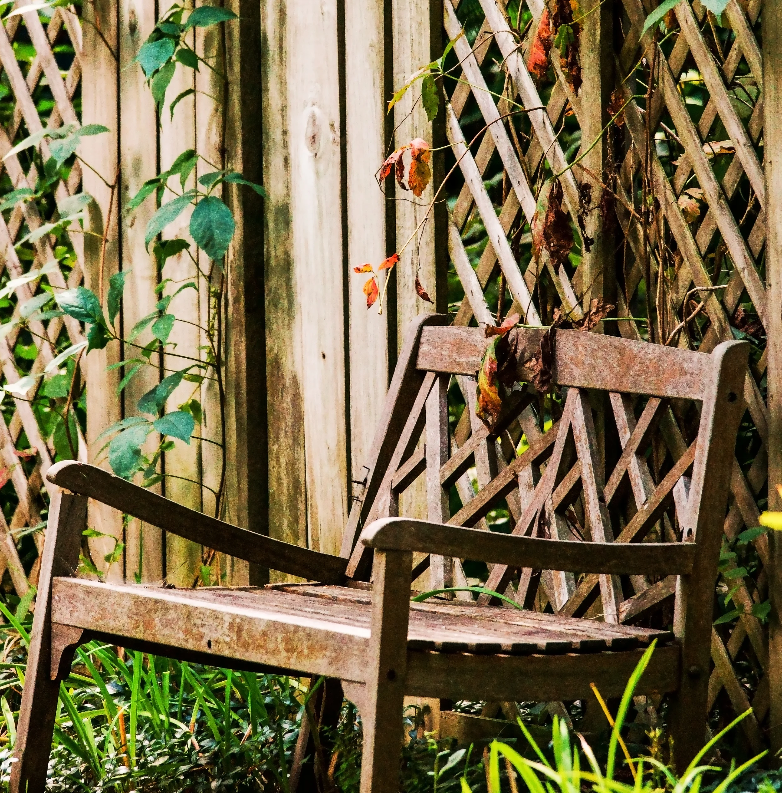 Broken Bench