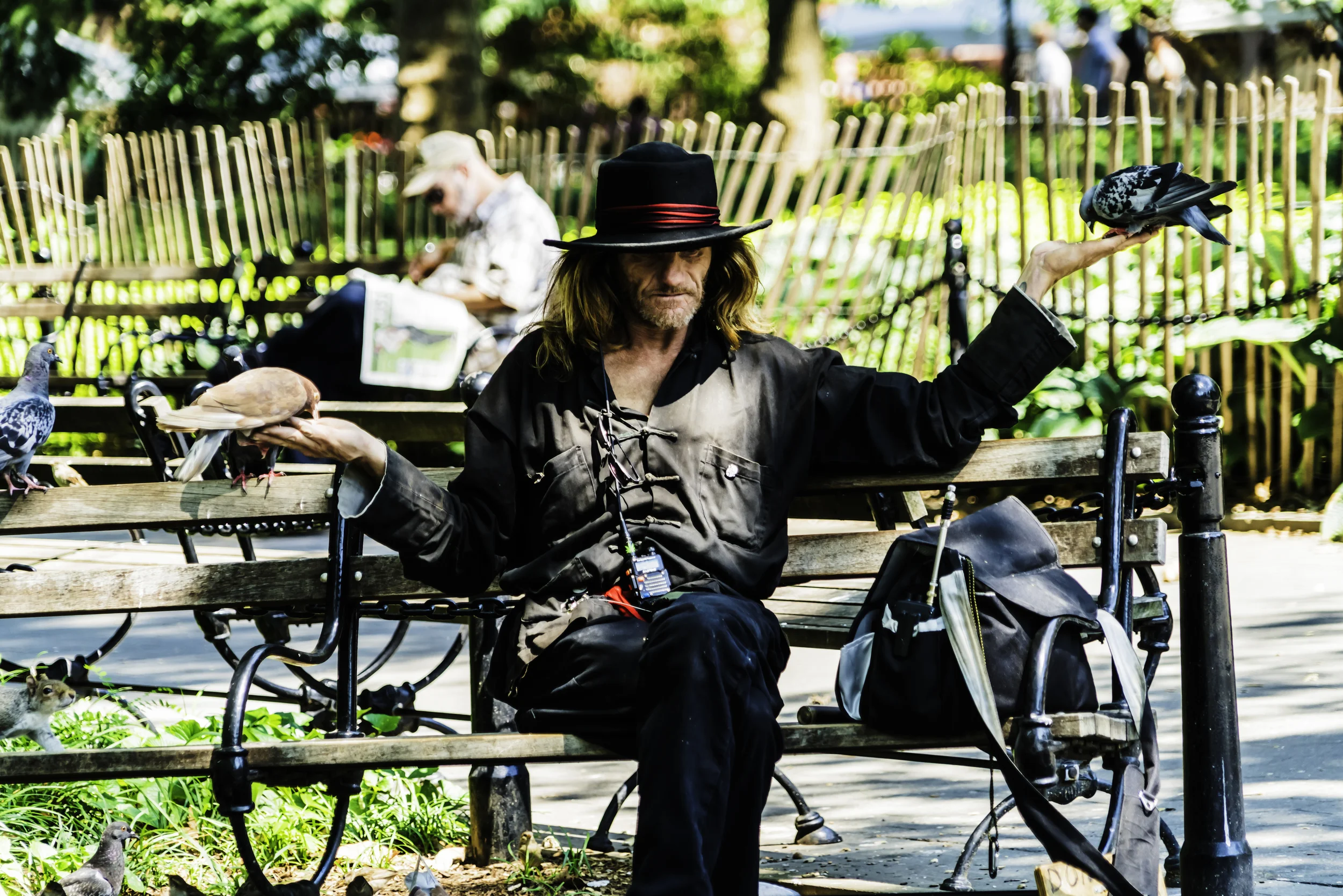 Bird man, Washington Square, NYC