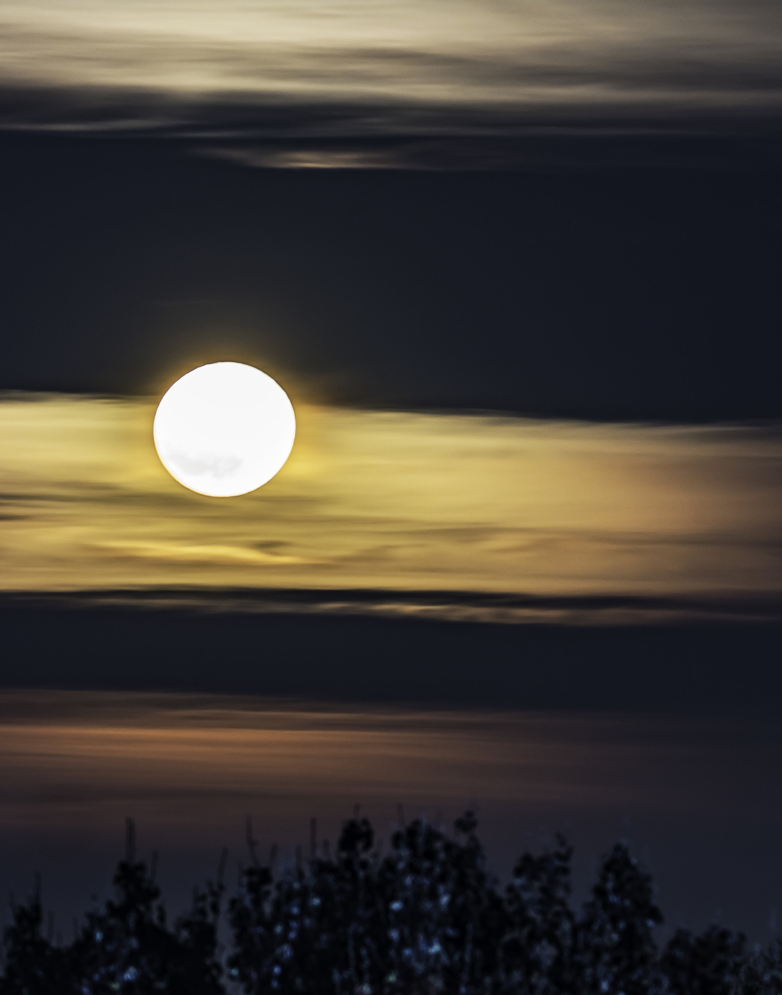 2017 Supermoon seen over trees