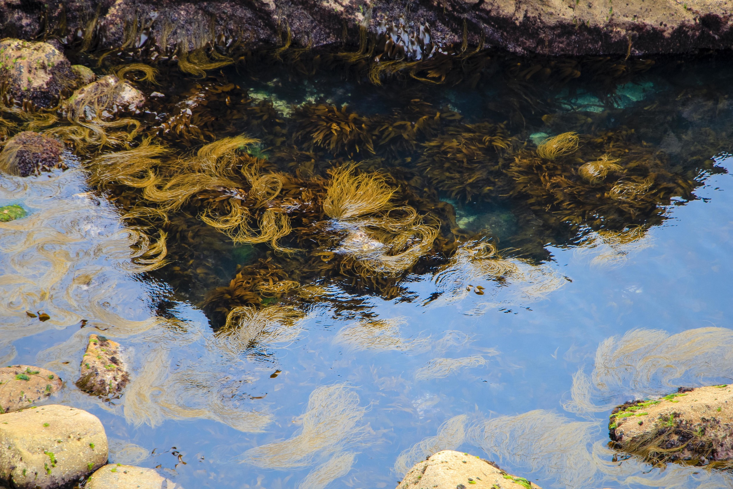 edit_newquay-9197.jpg
