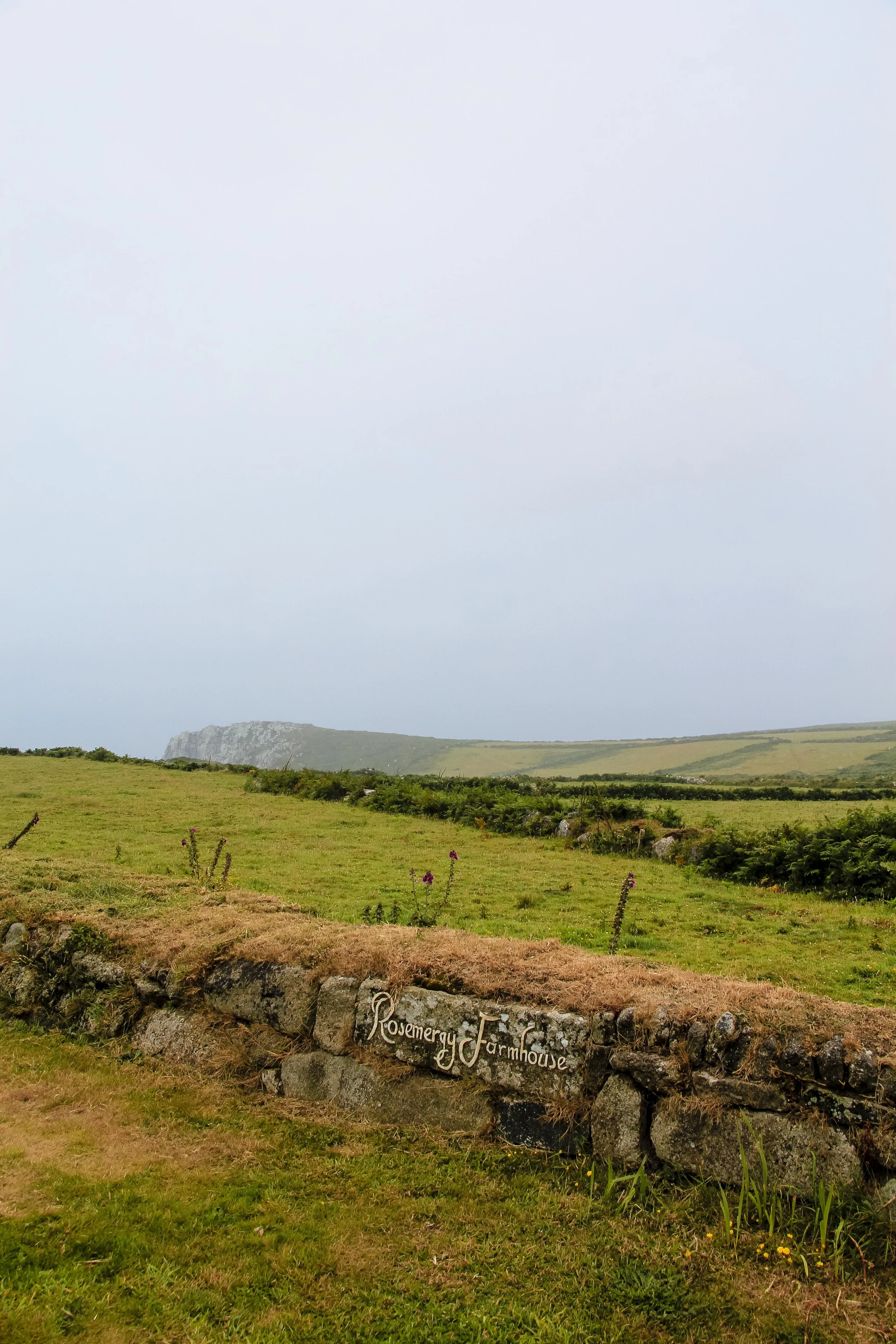 edit_newquay-9322.jpg