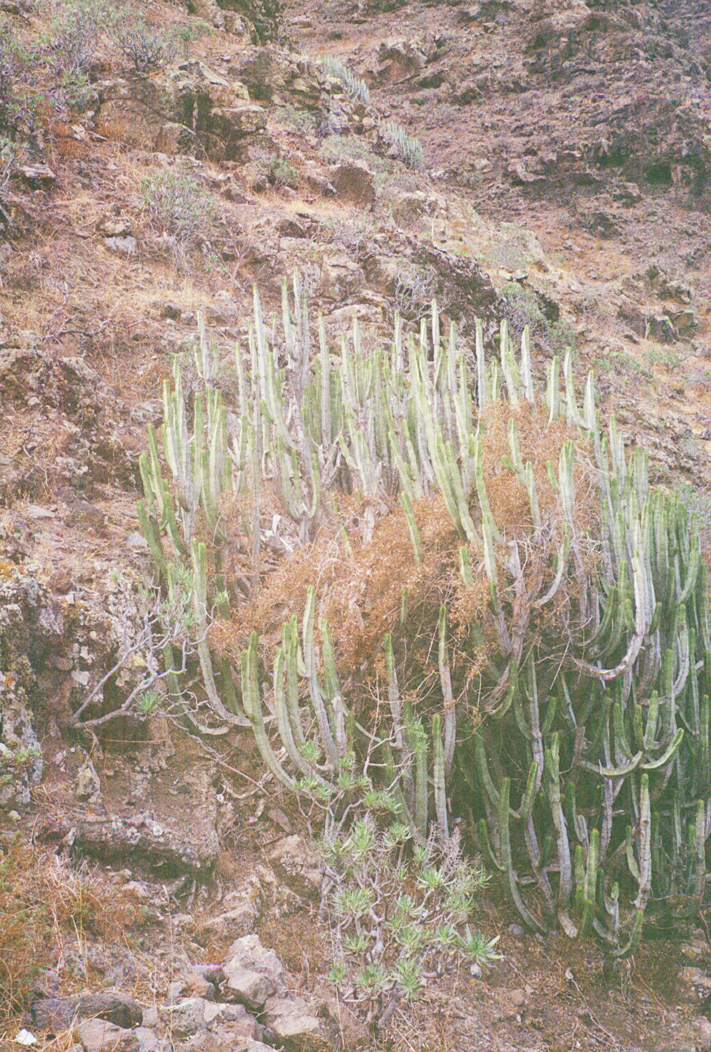 R1-01716-0005.jpg