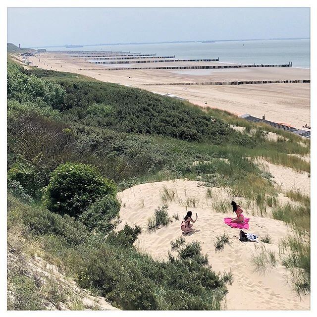 Instacrazy.

They spent about four hours there, taking pictures. One example for what is criticized so much, and rightly so: Going to places where no human belongs. Even if it&rsquo;s &bdquo;only&ldquo; some dunes, about twenty meters away from the o