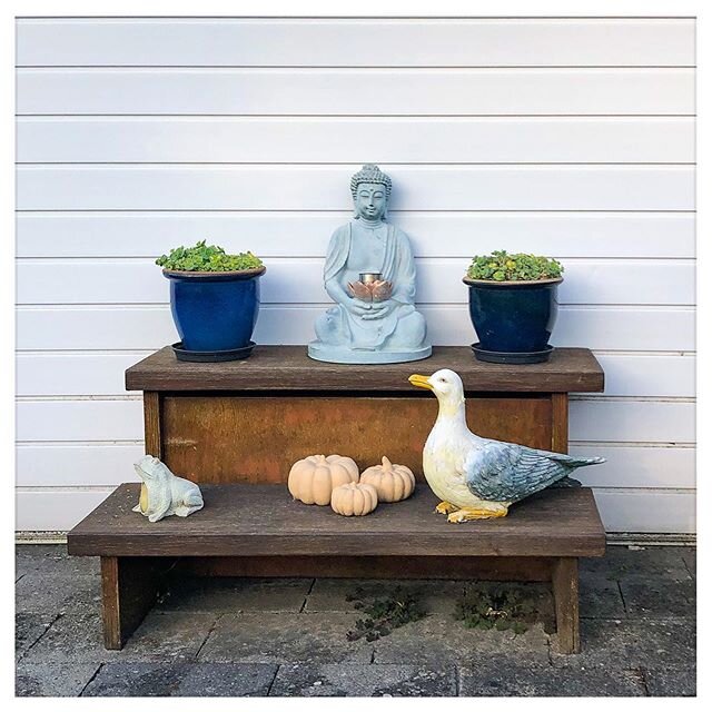 Still life.

Found on a camping site close to Groot Valkenisse. Really not sure whether putting Buddha in such a context is the most respectful thing to do.

Picture taken at @what3words location ///sturdy.dislikes.evenings on 13.06.2020 at 20:42 CET