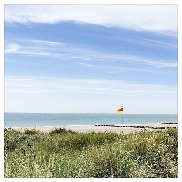 Light.

View towards the North Sea from a dune pathway close to the village of Zoutelande.

Picture taken at @what3words location ///frown.onstage.quell on 14.06.2020 at 14:00 CET.

#northsea #zoutelande #walcheren #zeeland #seascapes #strandwacht #g