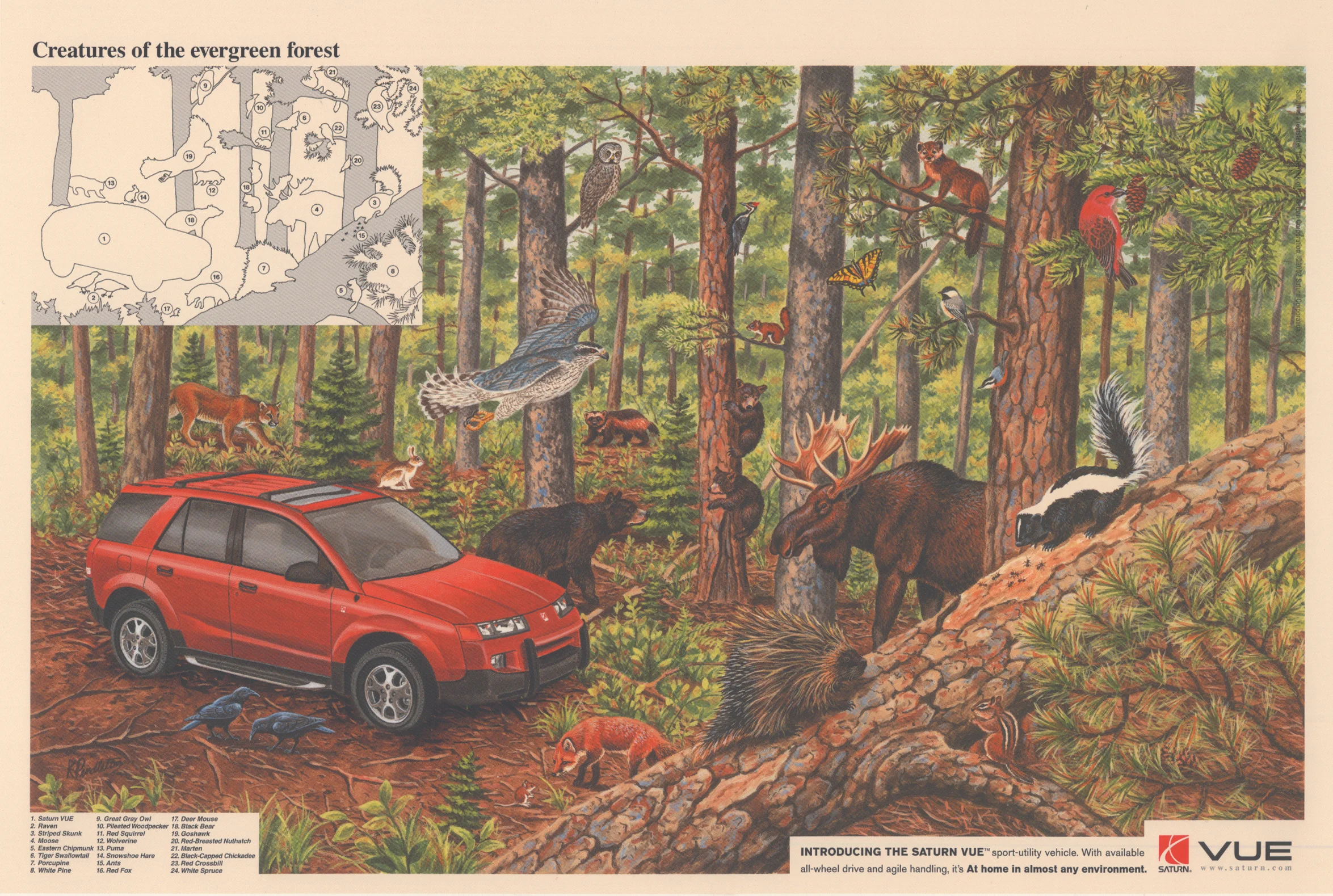 forest.jpg