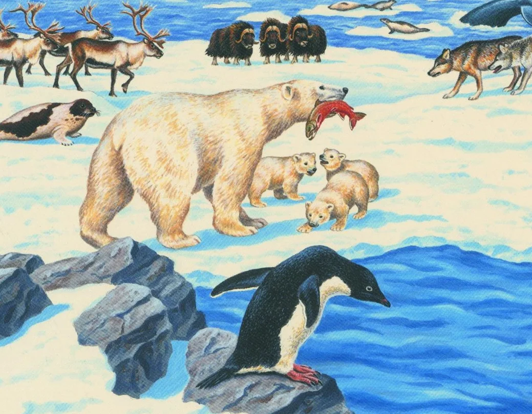 polar.jpg