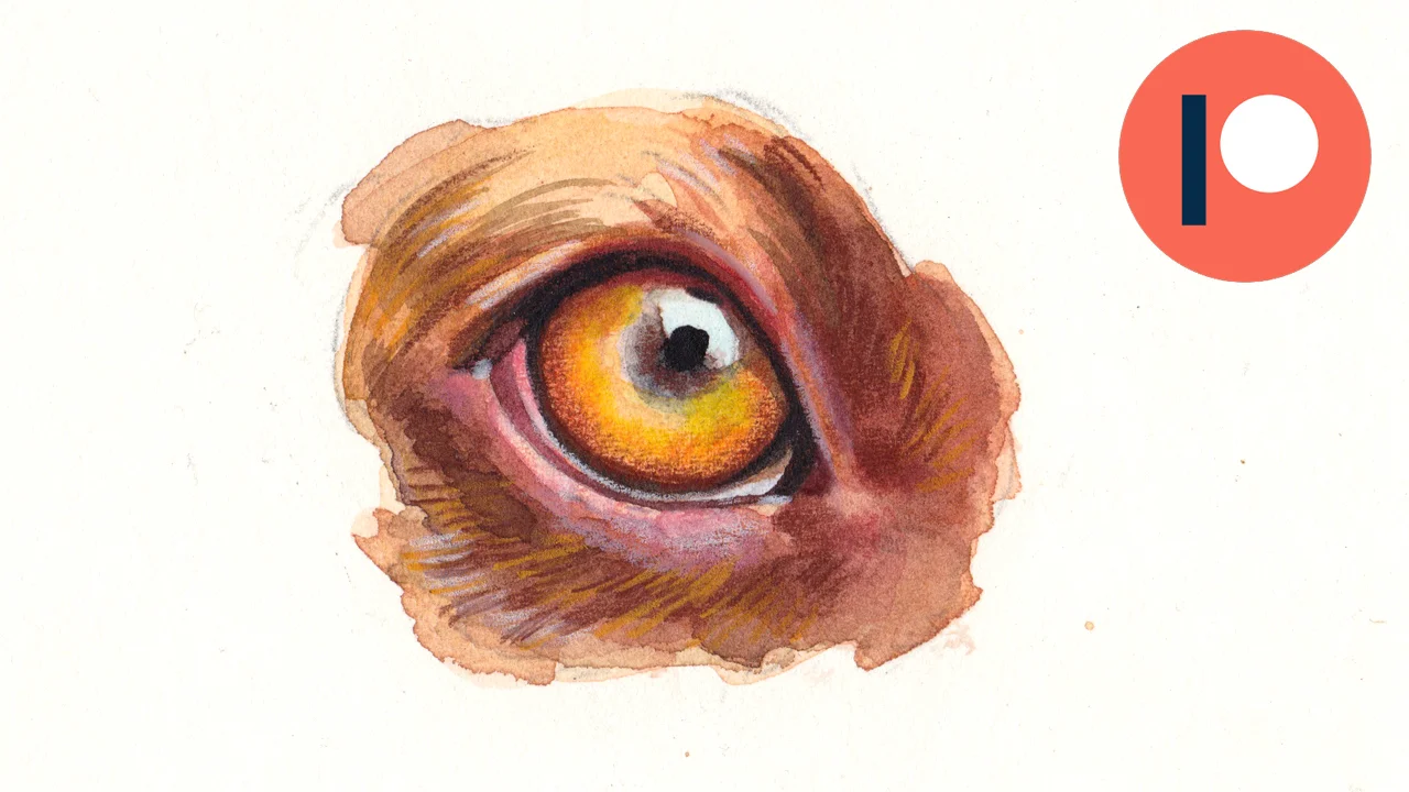 Painting a Dog Eye with Watercolors and Color Pencils