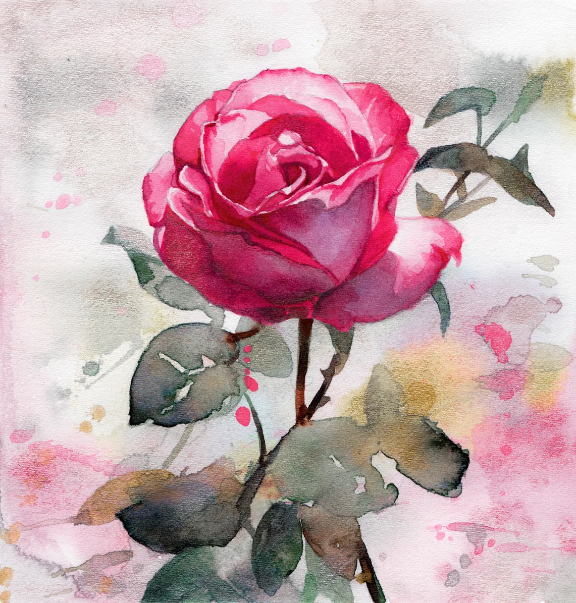 rose study - 15.5 x 15 cm cut out.jpg