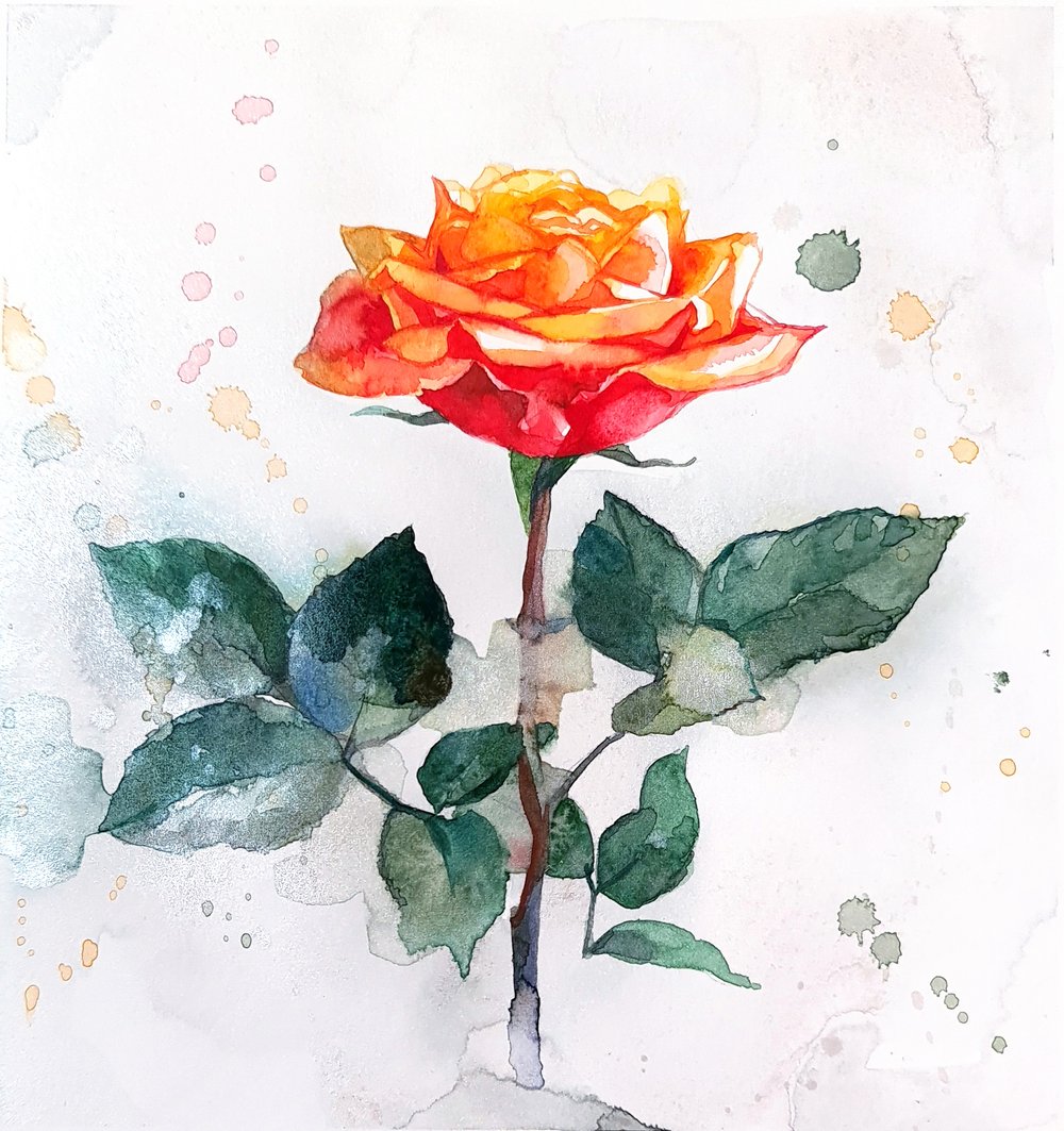 How to paint a Yellow Red Rose with Watercolors! Beginner friendly ...