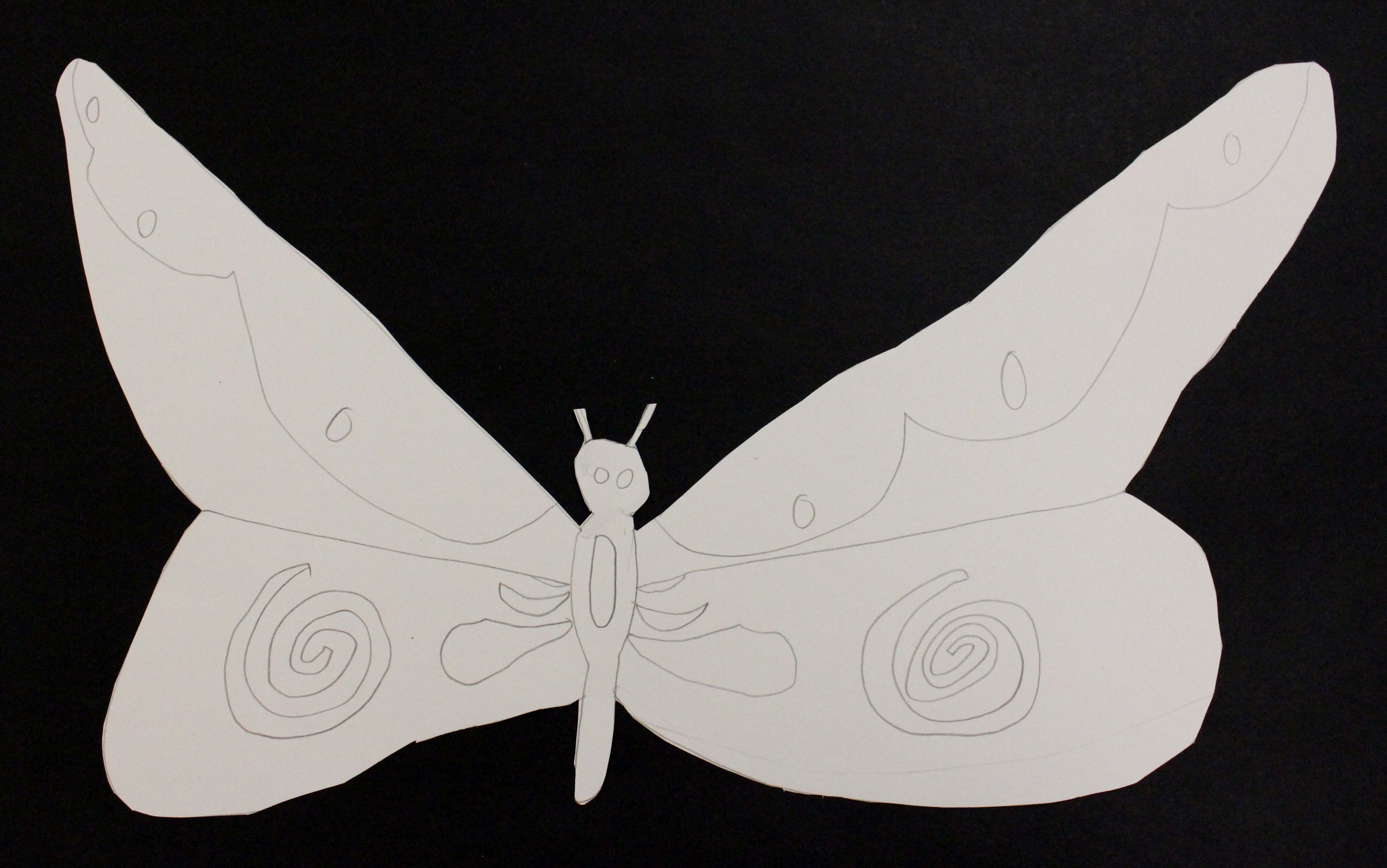 Fourth Grade: Marshall Kunz (Michel Keck Inspired Animal Collage: Work In Progress)