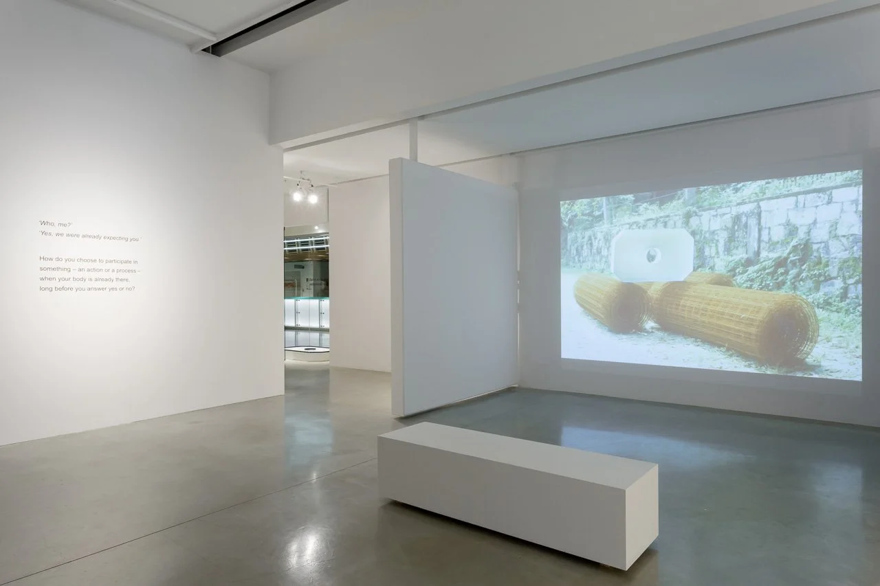 ricardo basbaum 7.jpeg