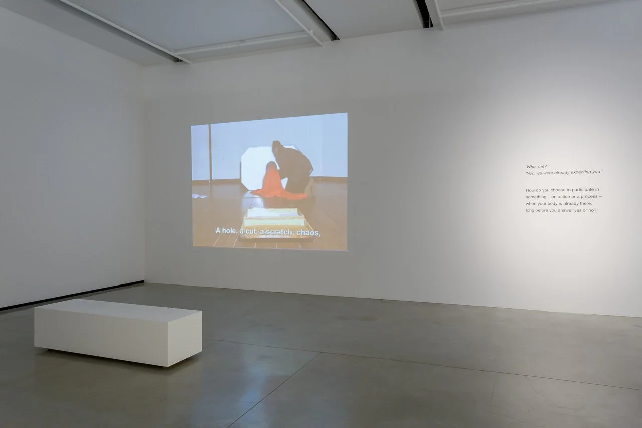 ricardo basbaum 8.jpeg