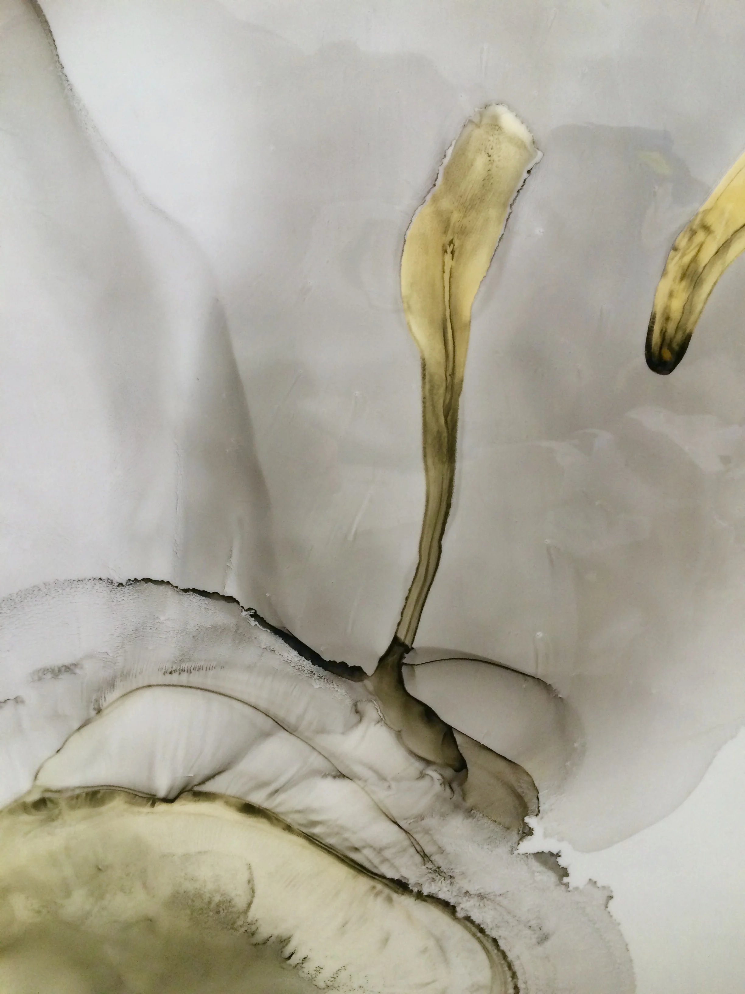 FullSizeRender-2.jpg