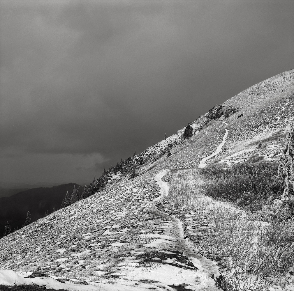 On Dog Mountain, Washington 