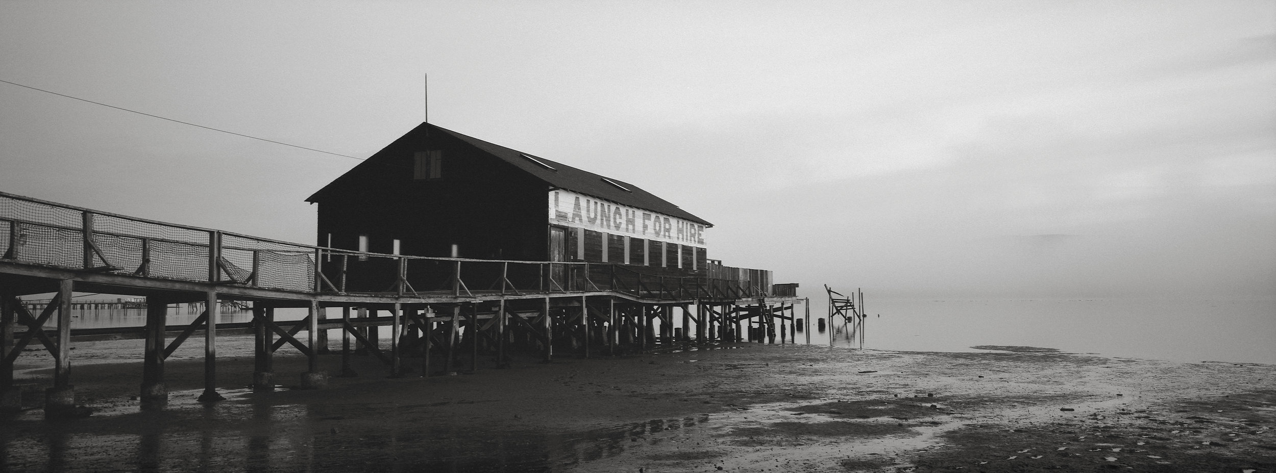 Early Morning, Tomales Bay, California 