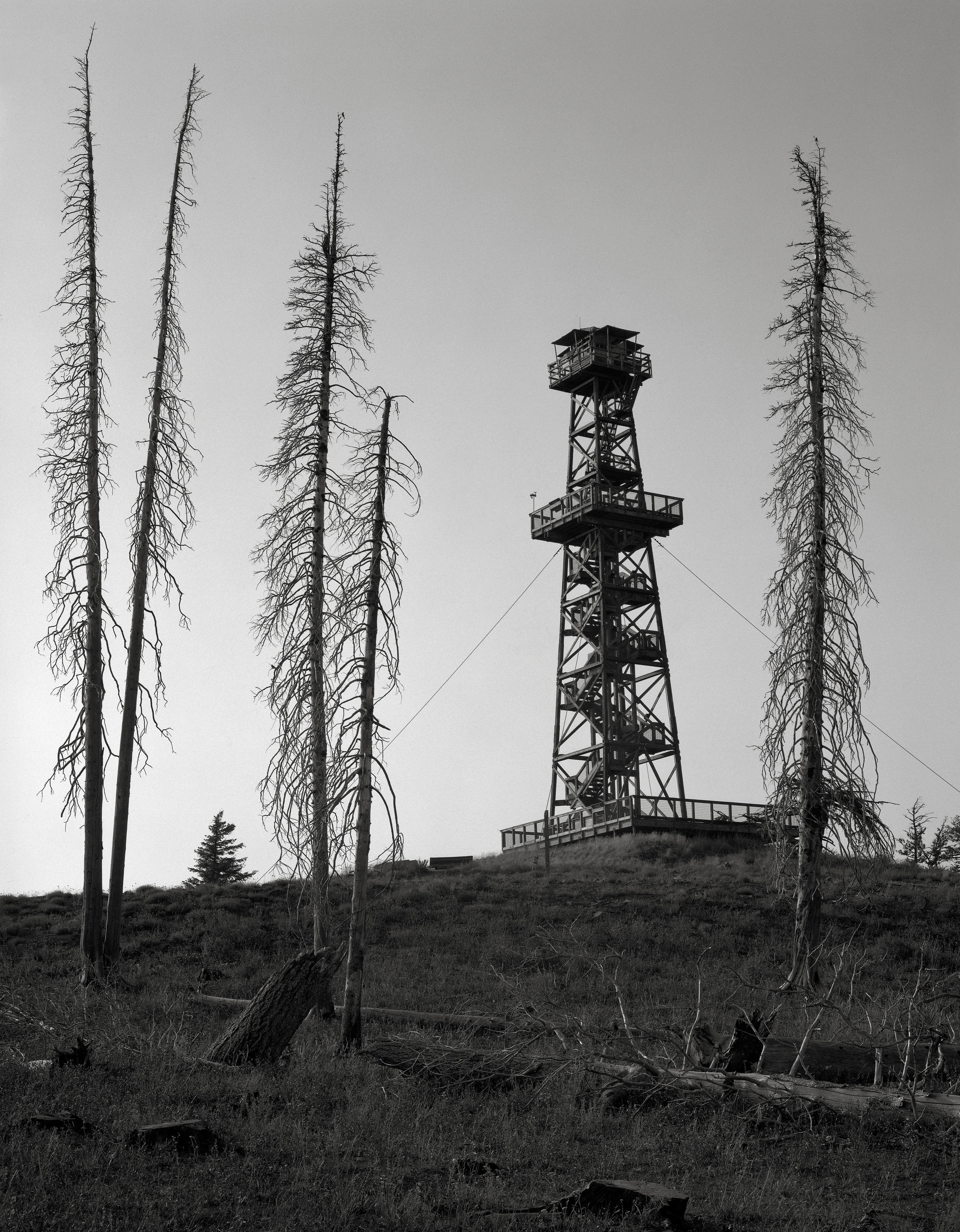 Fire Lookout with Burnt Trees, Hat Point, Oregon