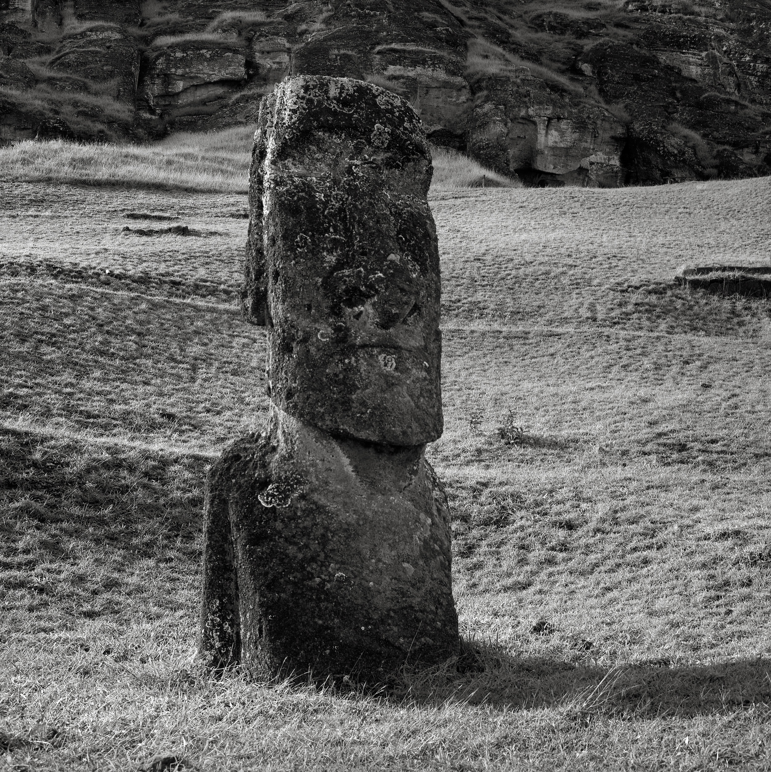 Moai, Rano Raraku, Easter Island