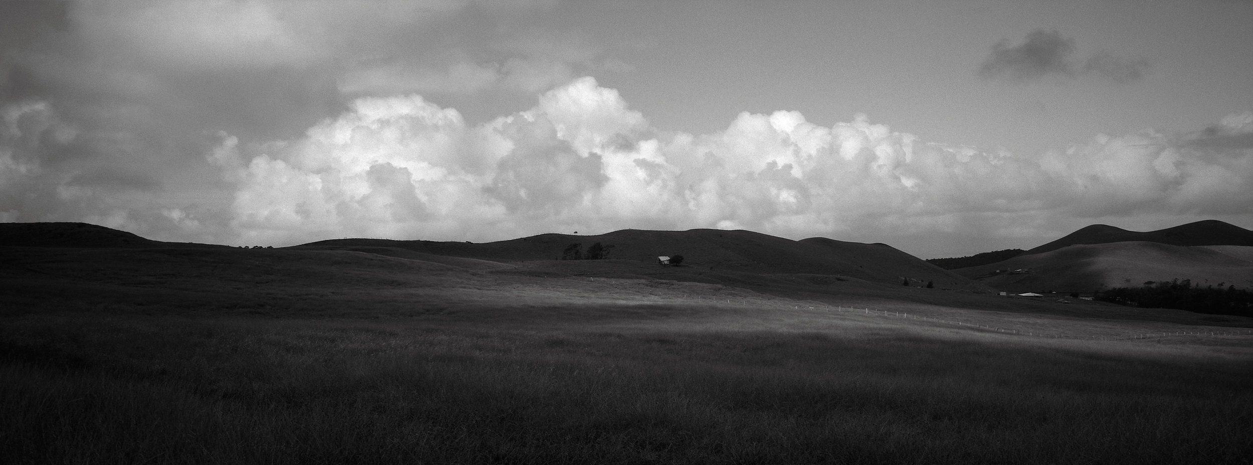 In a Field, Easter Island