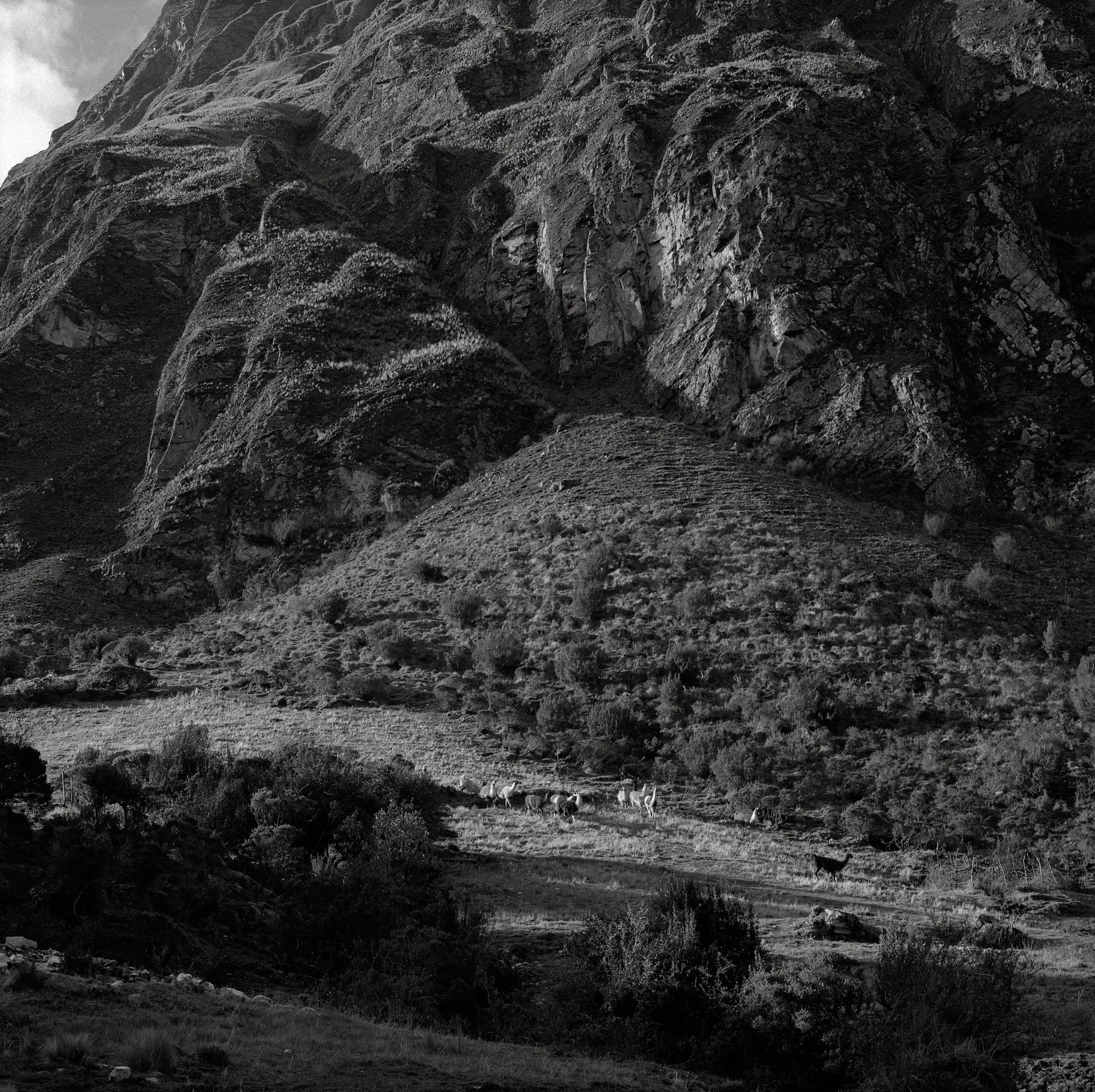 Along the Inca Trail, Peru