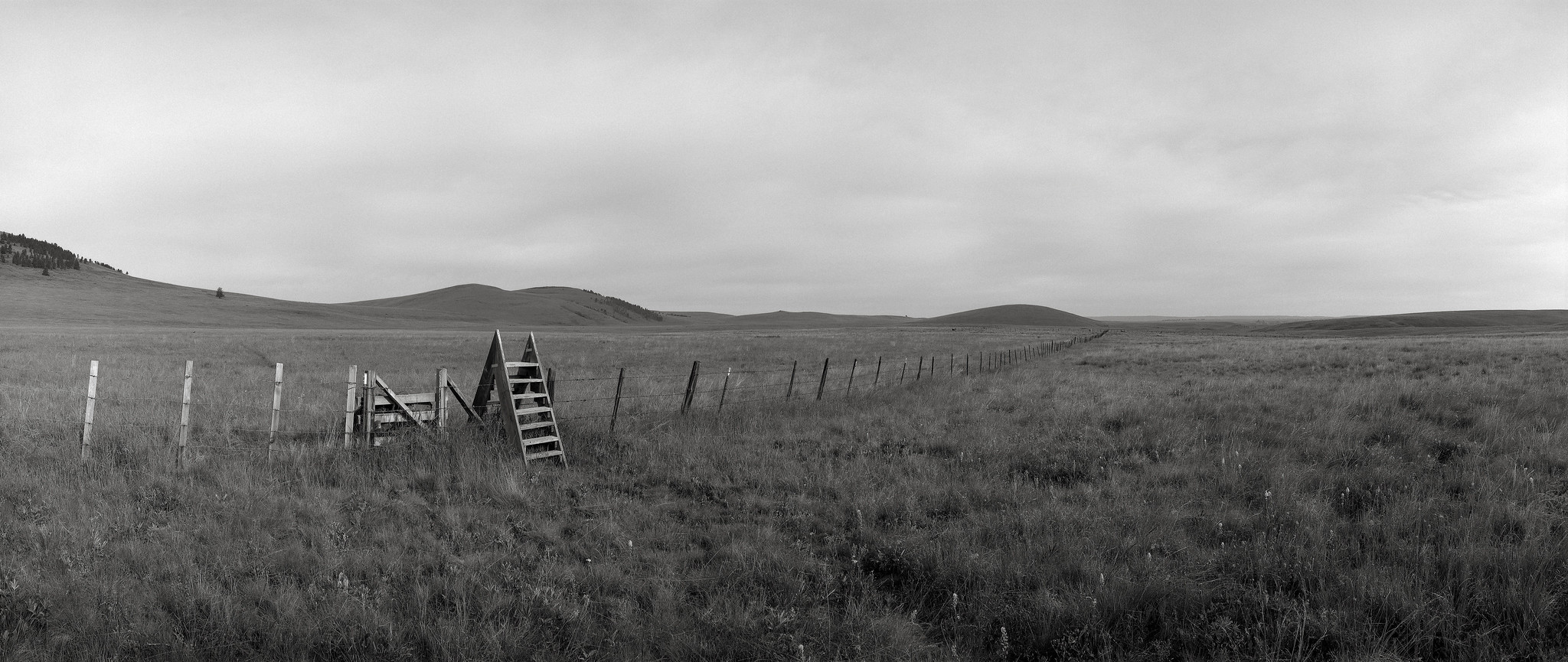 In a Field, Oregon