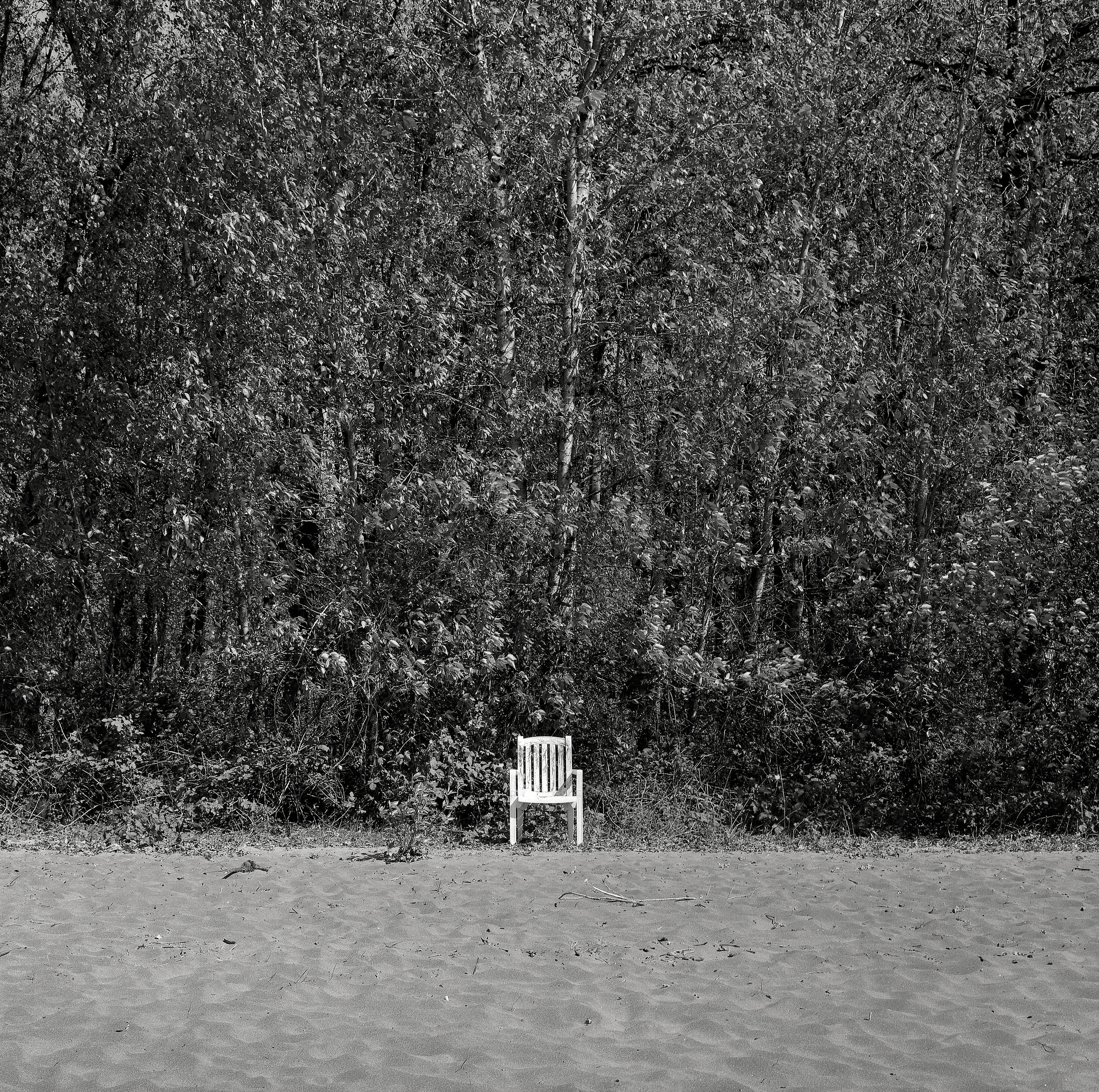 Chair, Sauvie Island, Oregon 
