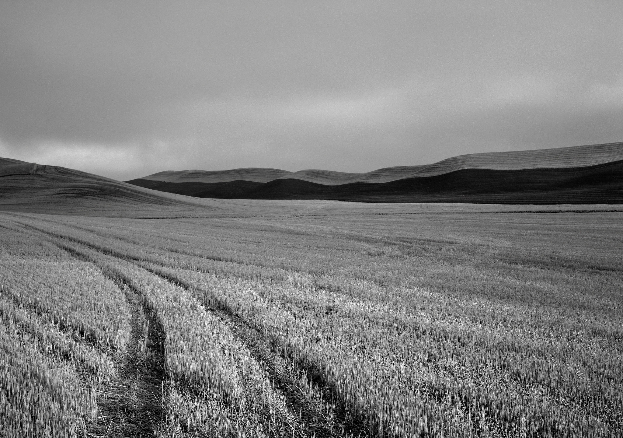 In a Field