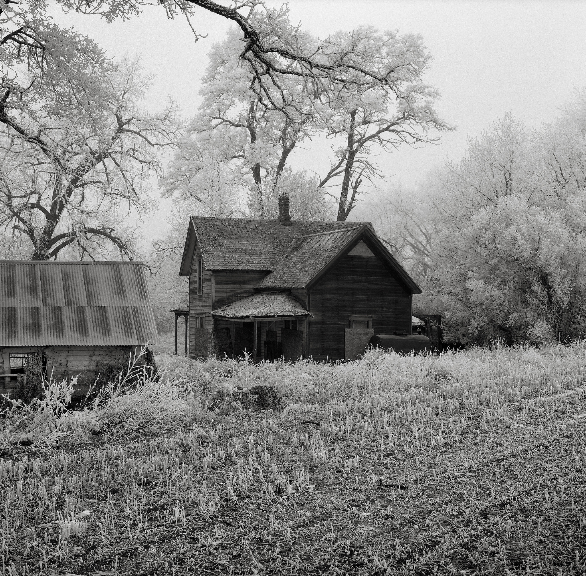 Abandoned Farmhouse with Hoarfrost