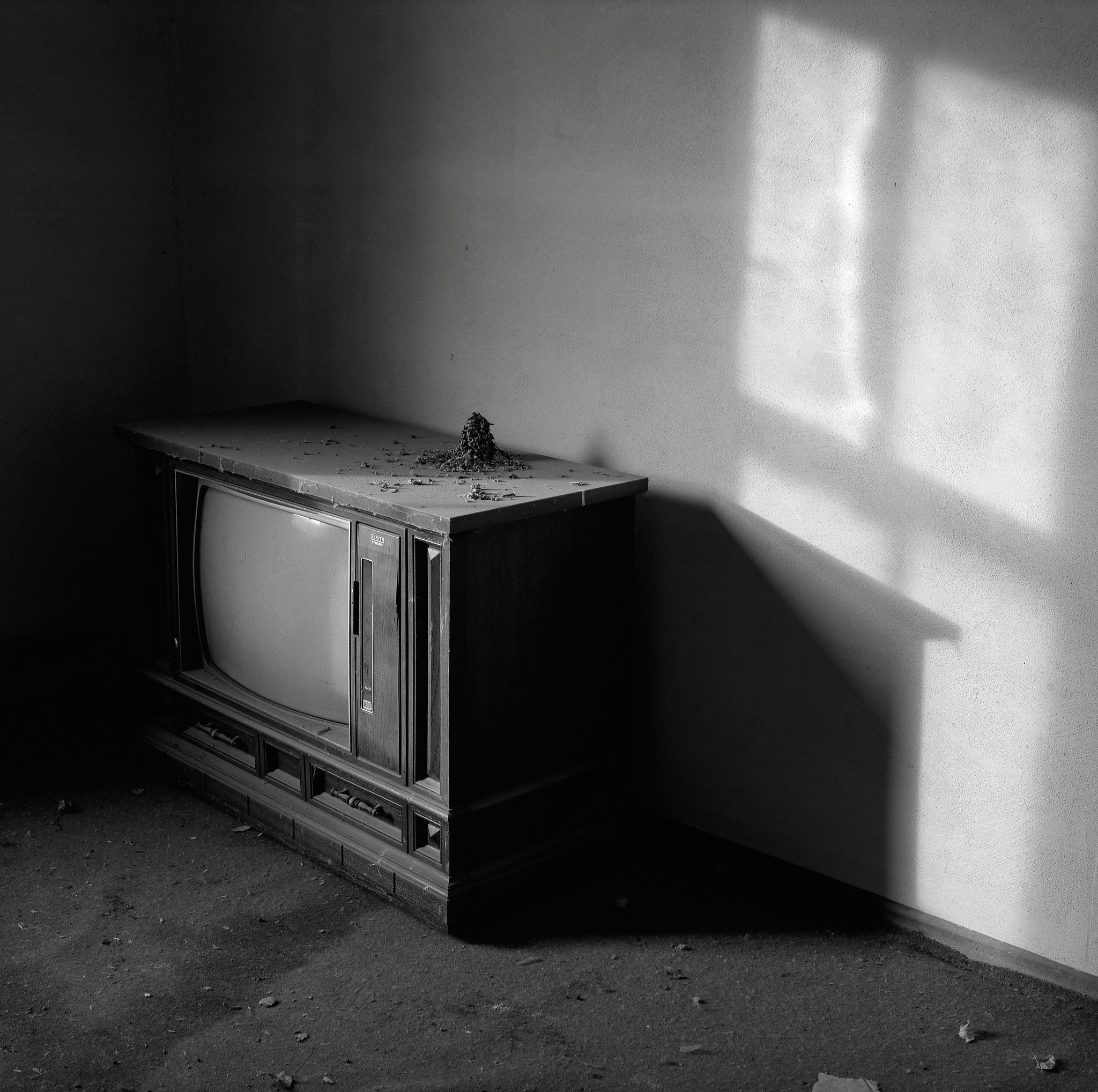 Television with Bird's Nest, Abandoned Farmhouse