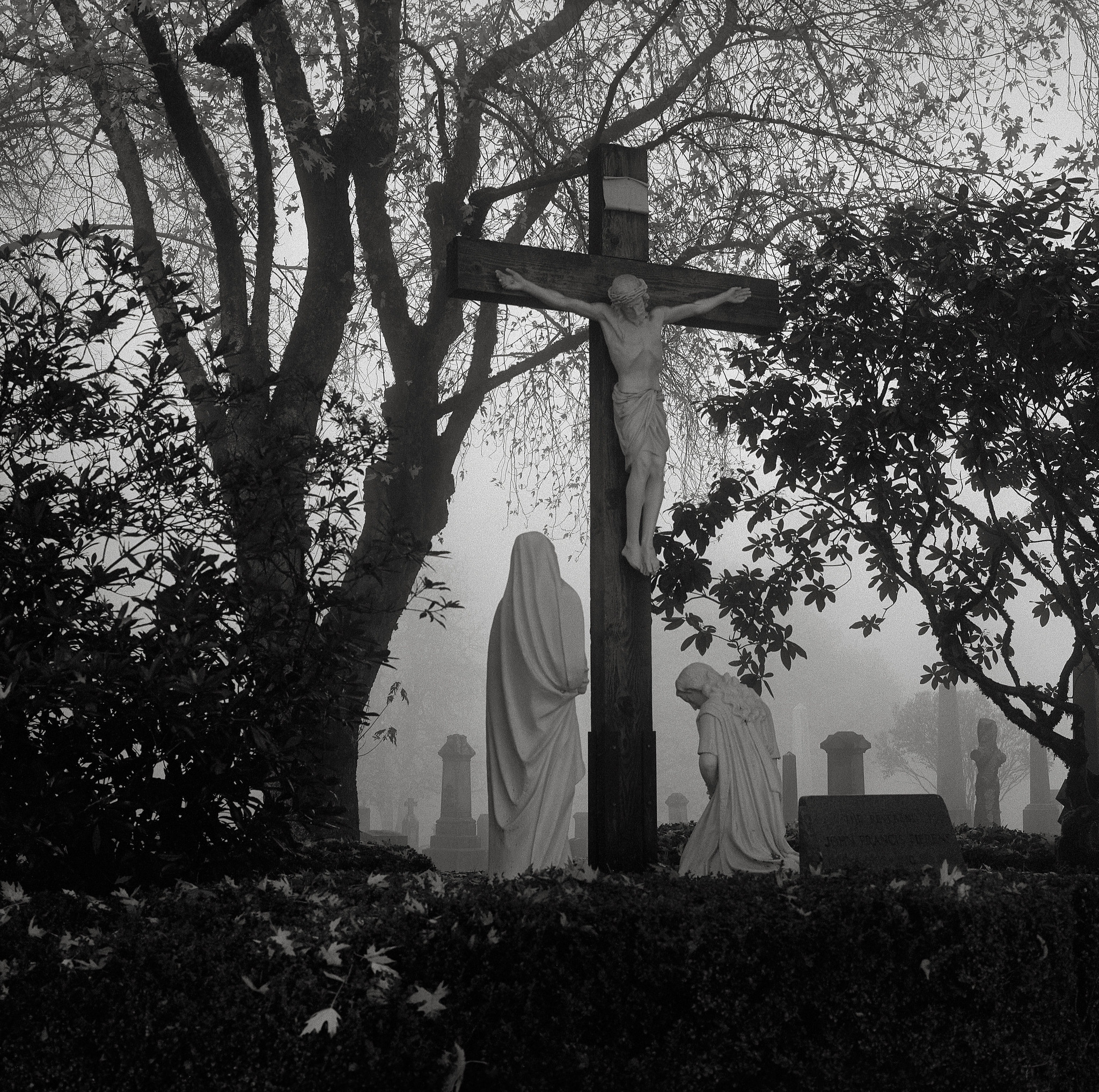 In a Cemetery, Portland 