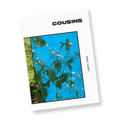 CousinsCover.jpg