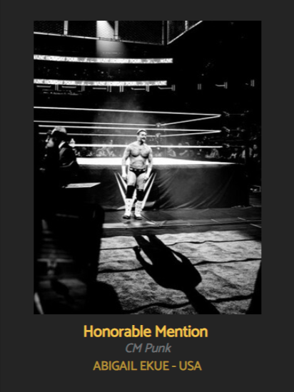 Wrestling Honoree and Nude Nominee - Black &amp; White Spider Awards