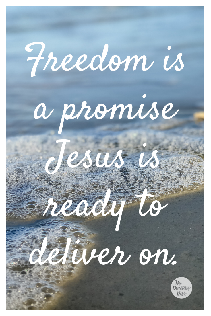 TDD blog_Freedom promise.png