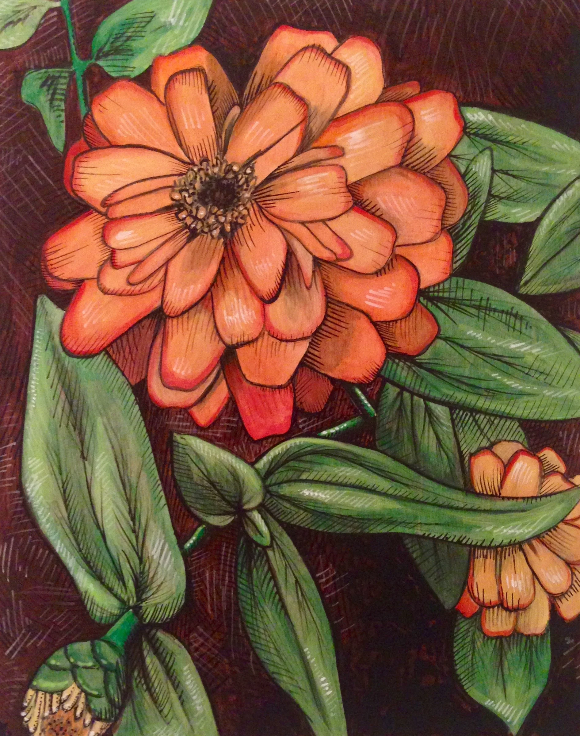 Zinnia Study #1