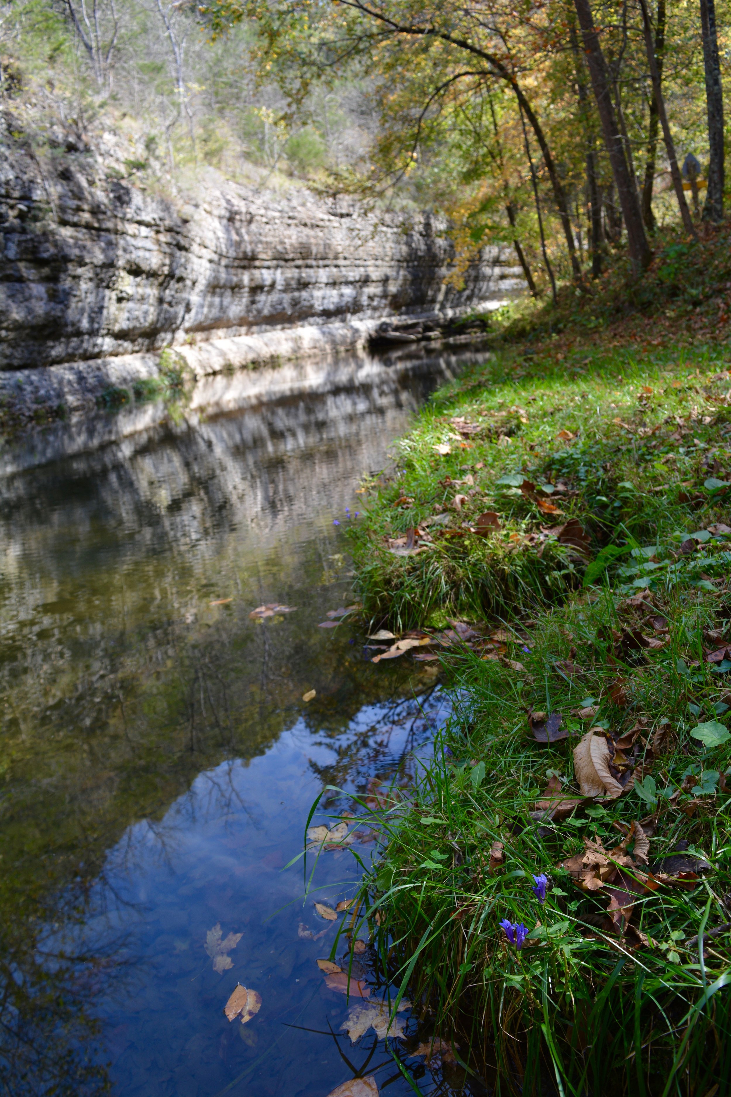 Dogwood Canyon Nature Park