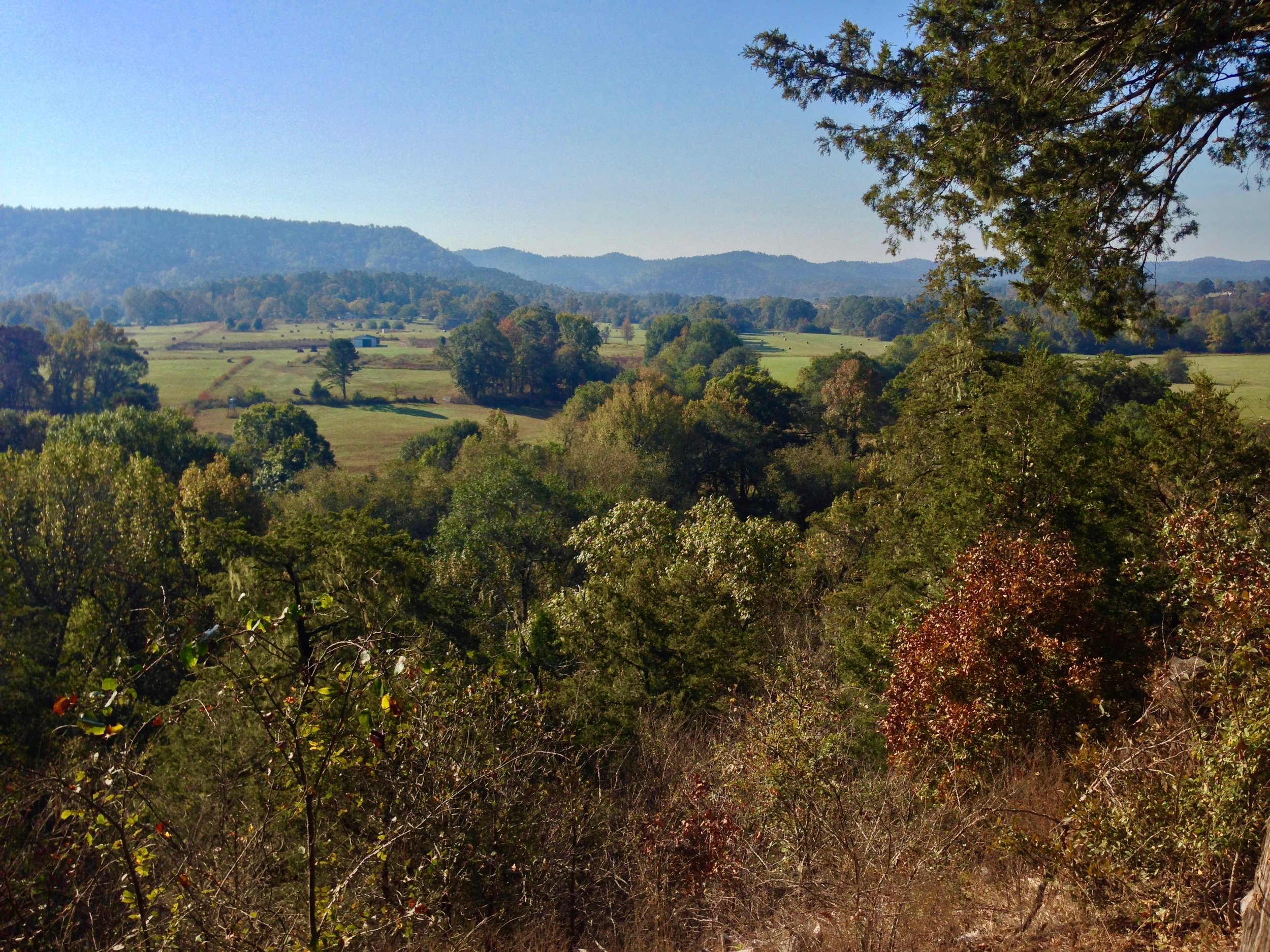 The Ouachita National Forest, Pencil Bluff, Arkansas