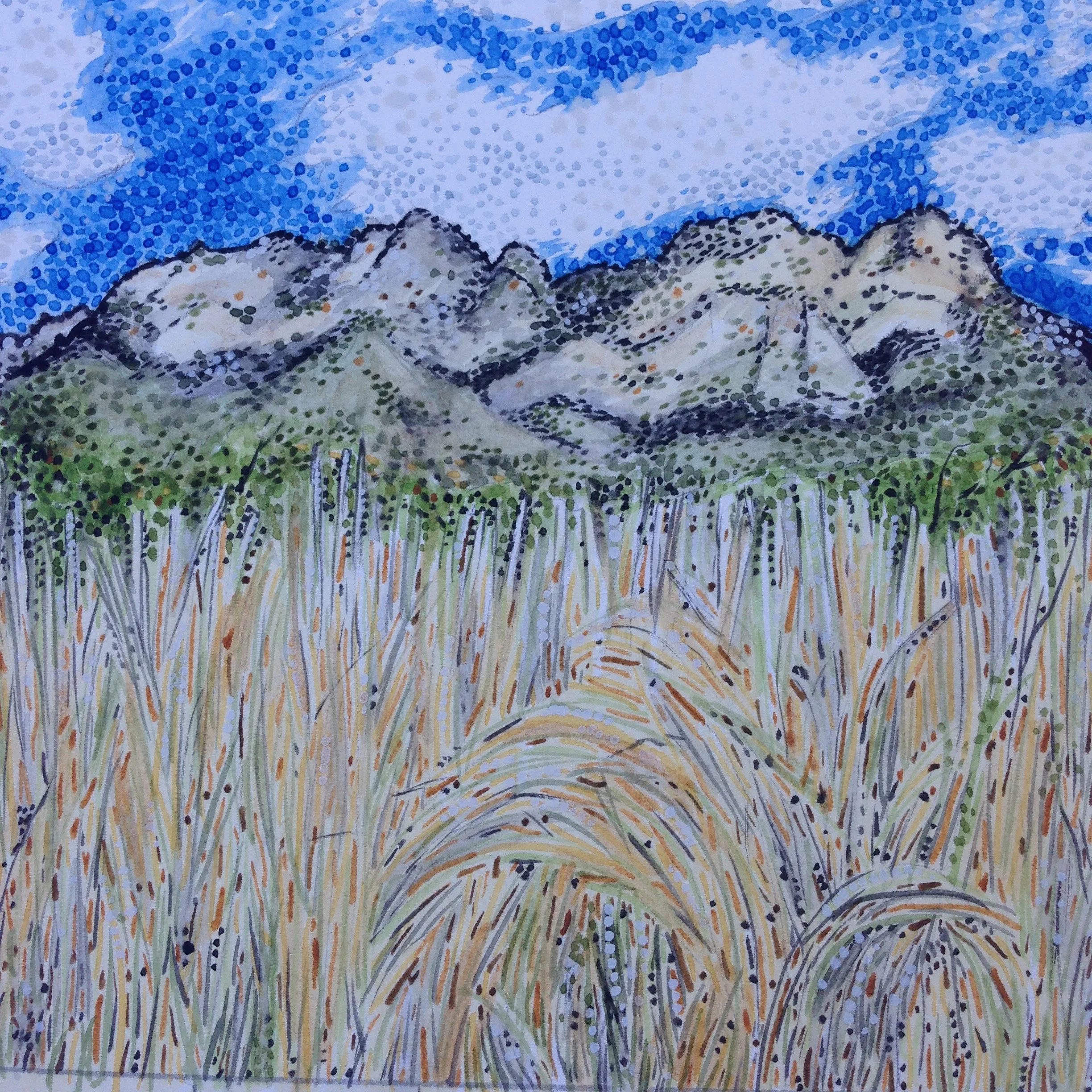 Organ Mountains, Las Cruces, New Mexico: 11/6/16, 1:36:00