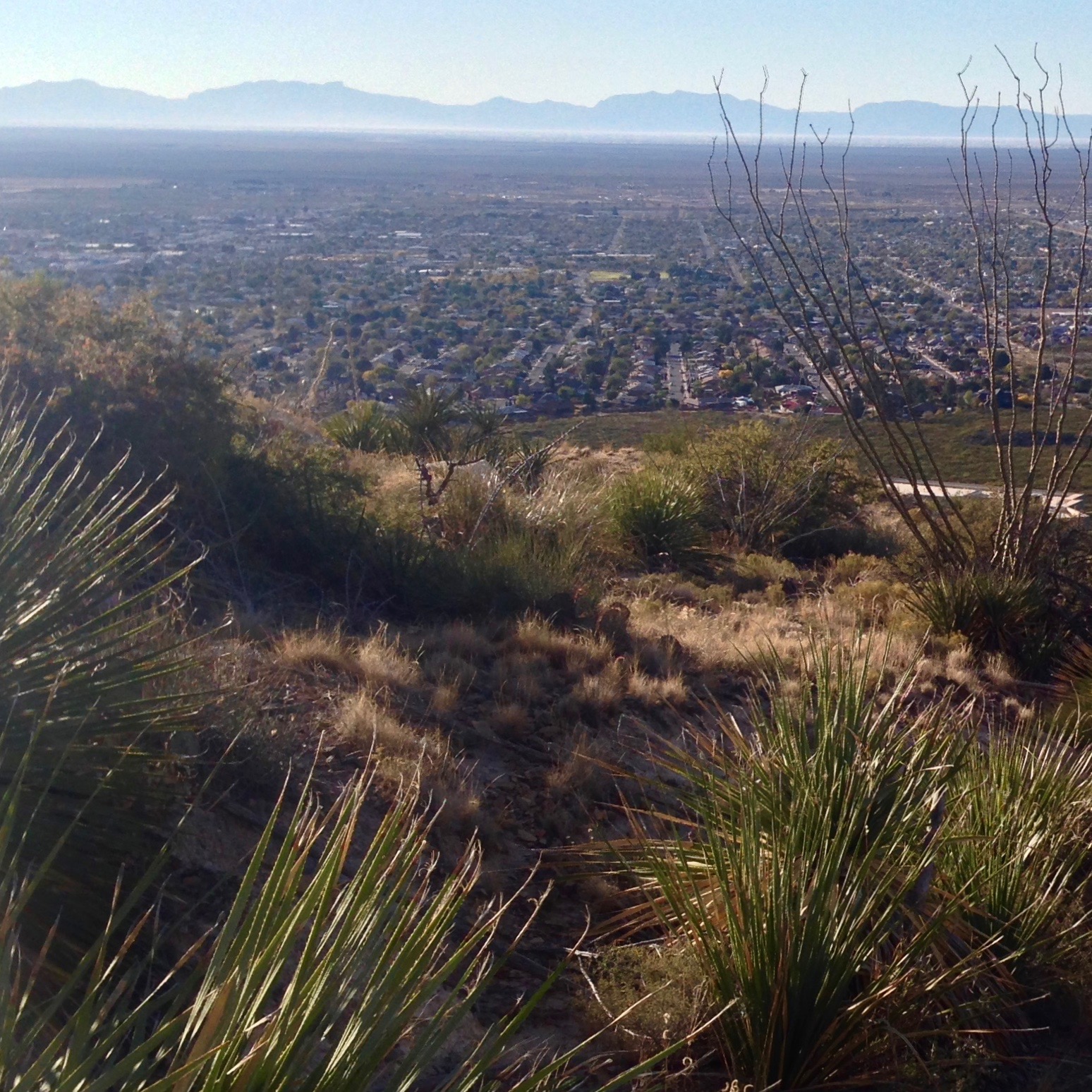 Alamogordo, NM from up on the adjacent mountains. You can see the white glow of White Sands National Monument in front of the mountains in the distance.