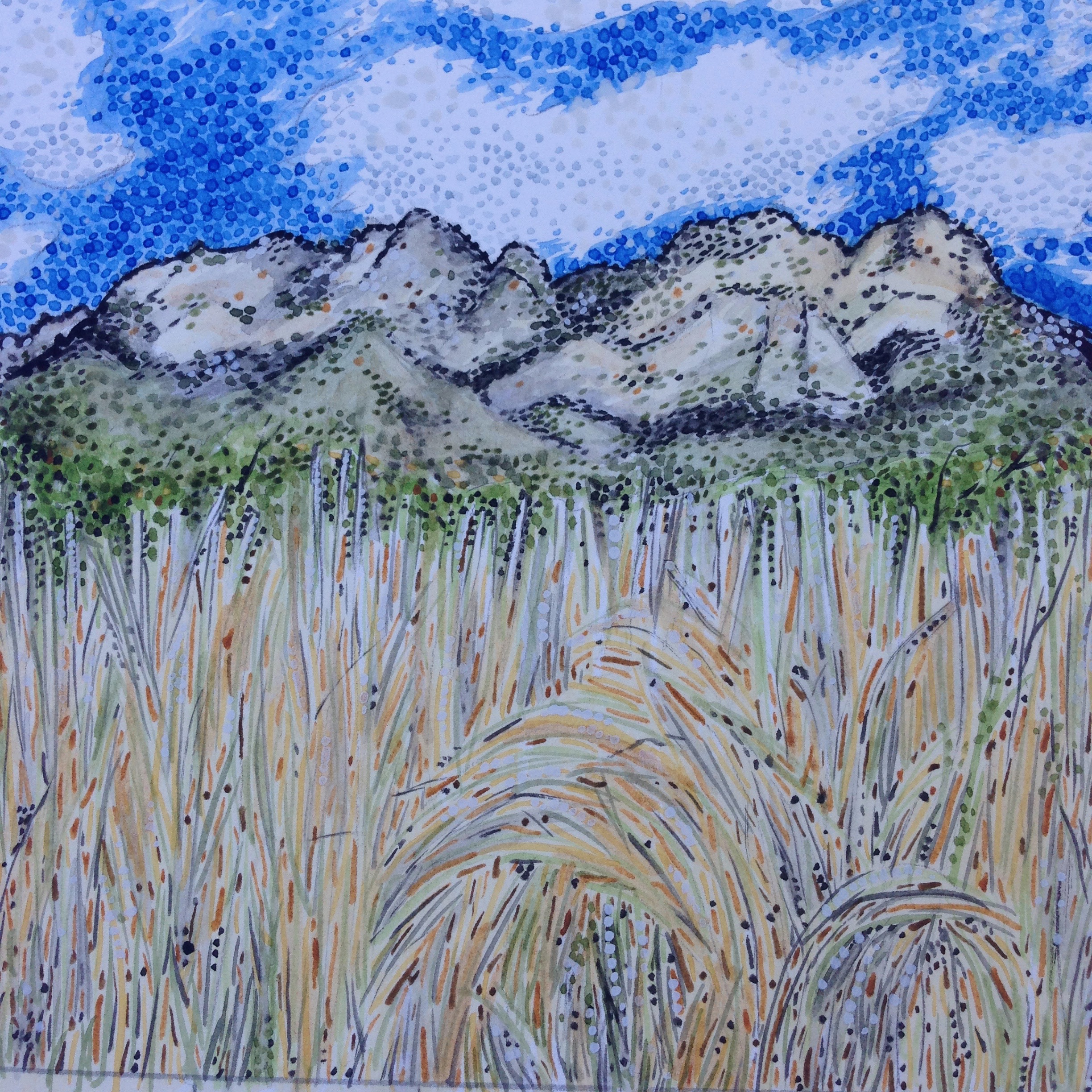 Organ Mountains, Las Cruces, New Mexico: 11/6/16: 01:36:00