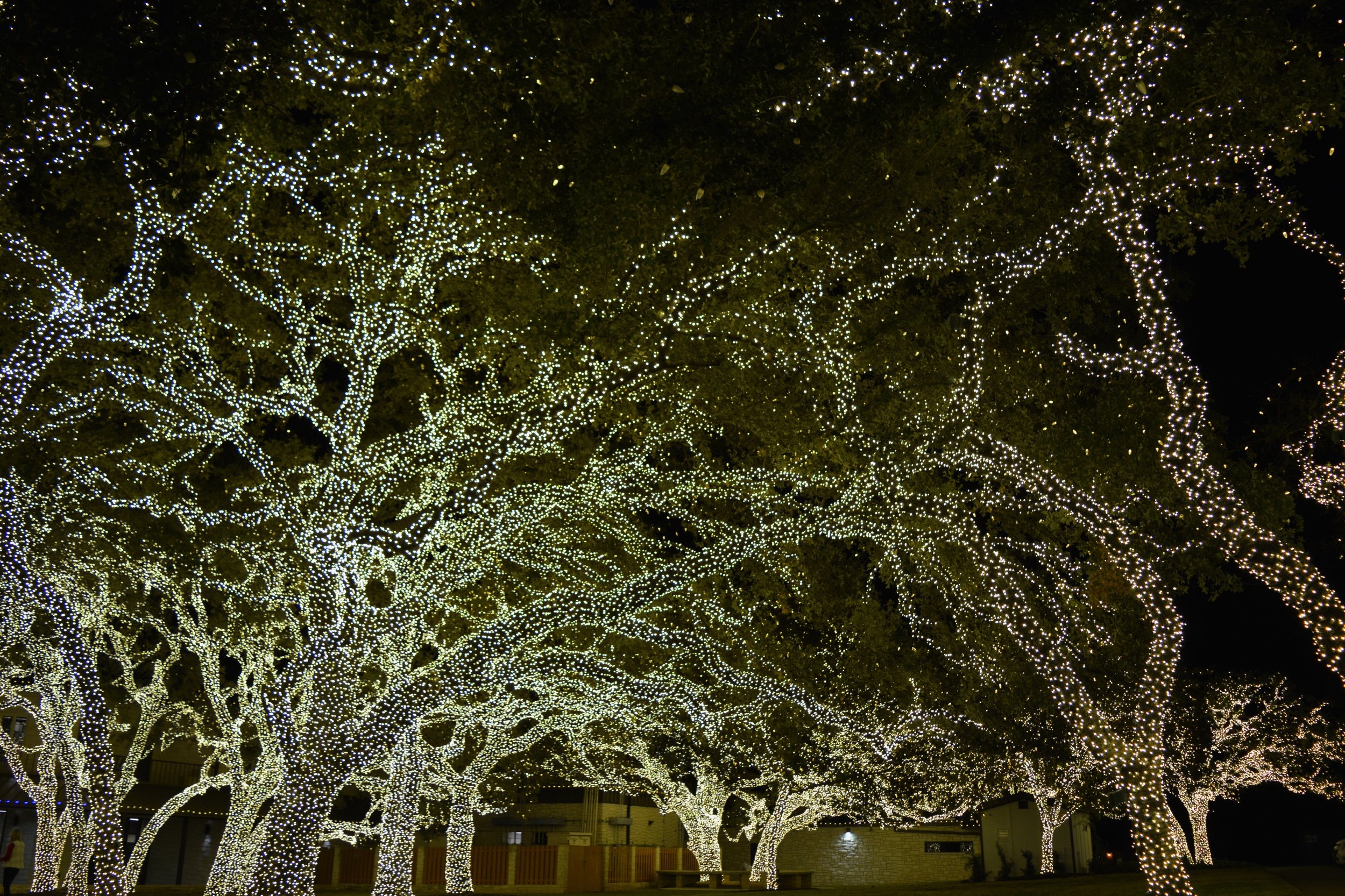 The Lights in Johnson City