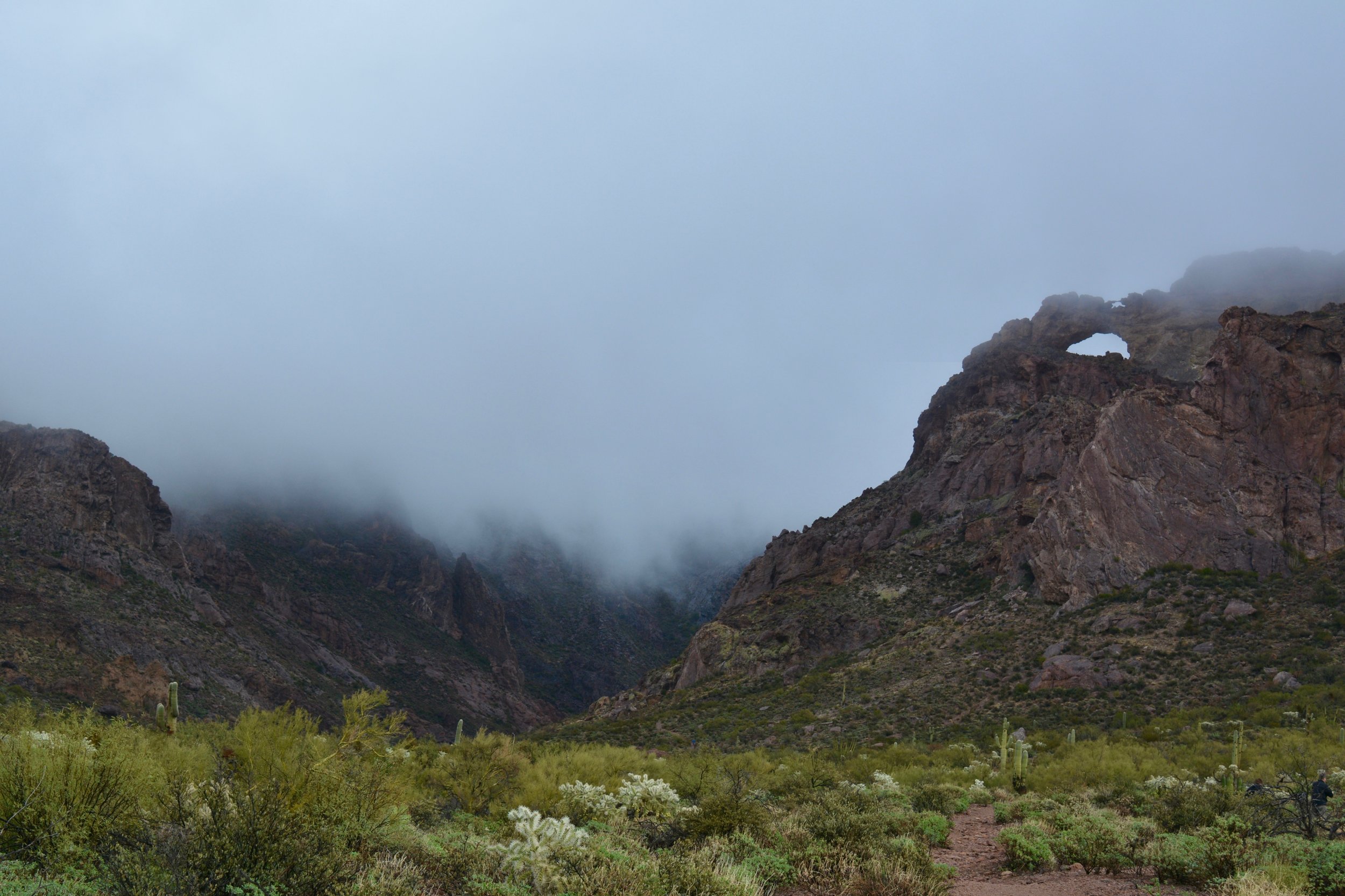 Arch Canyon in the fog