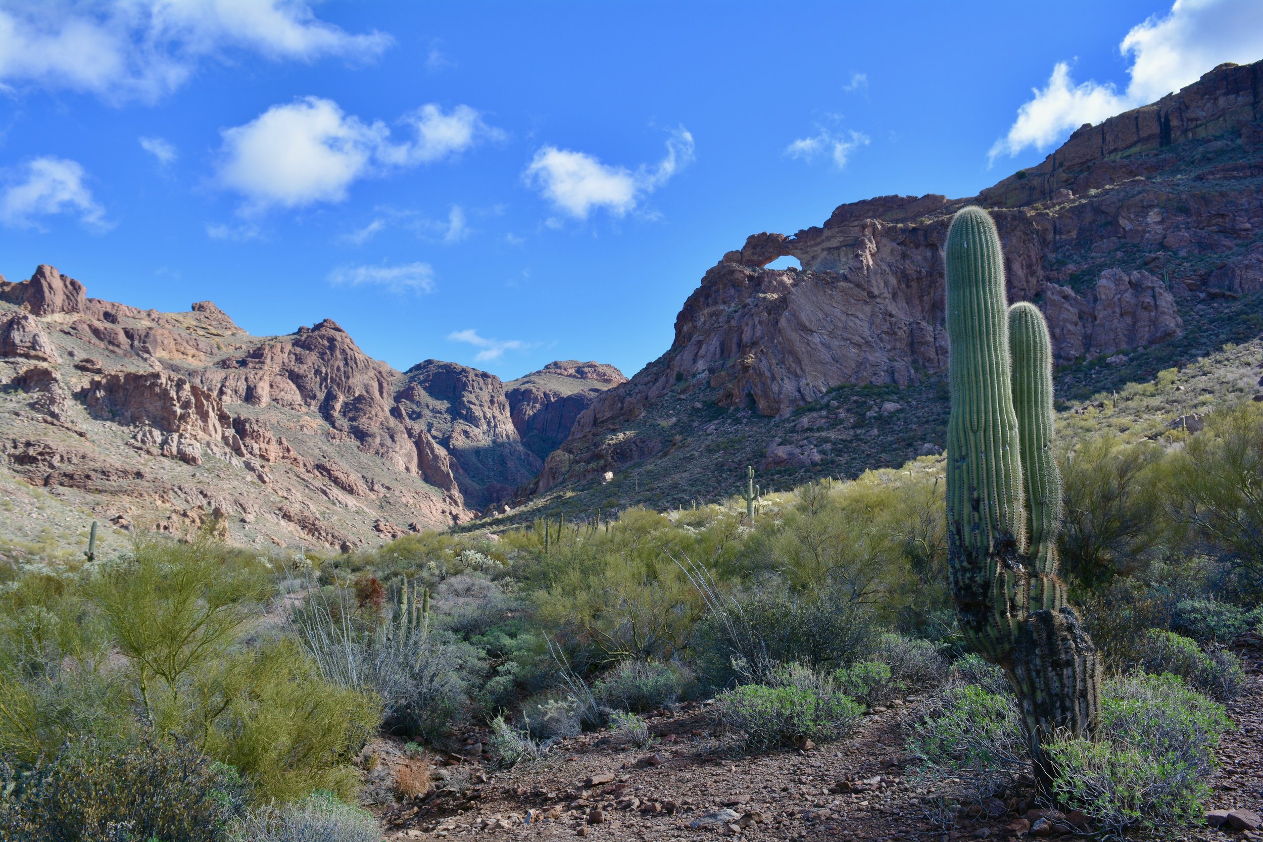 Arch Canyon in the sunshine