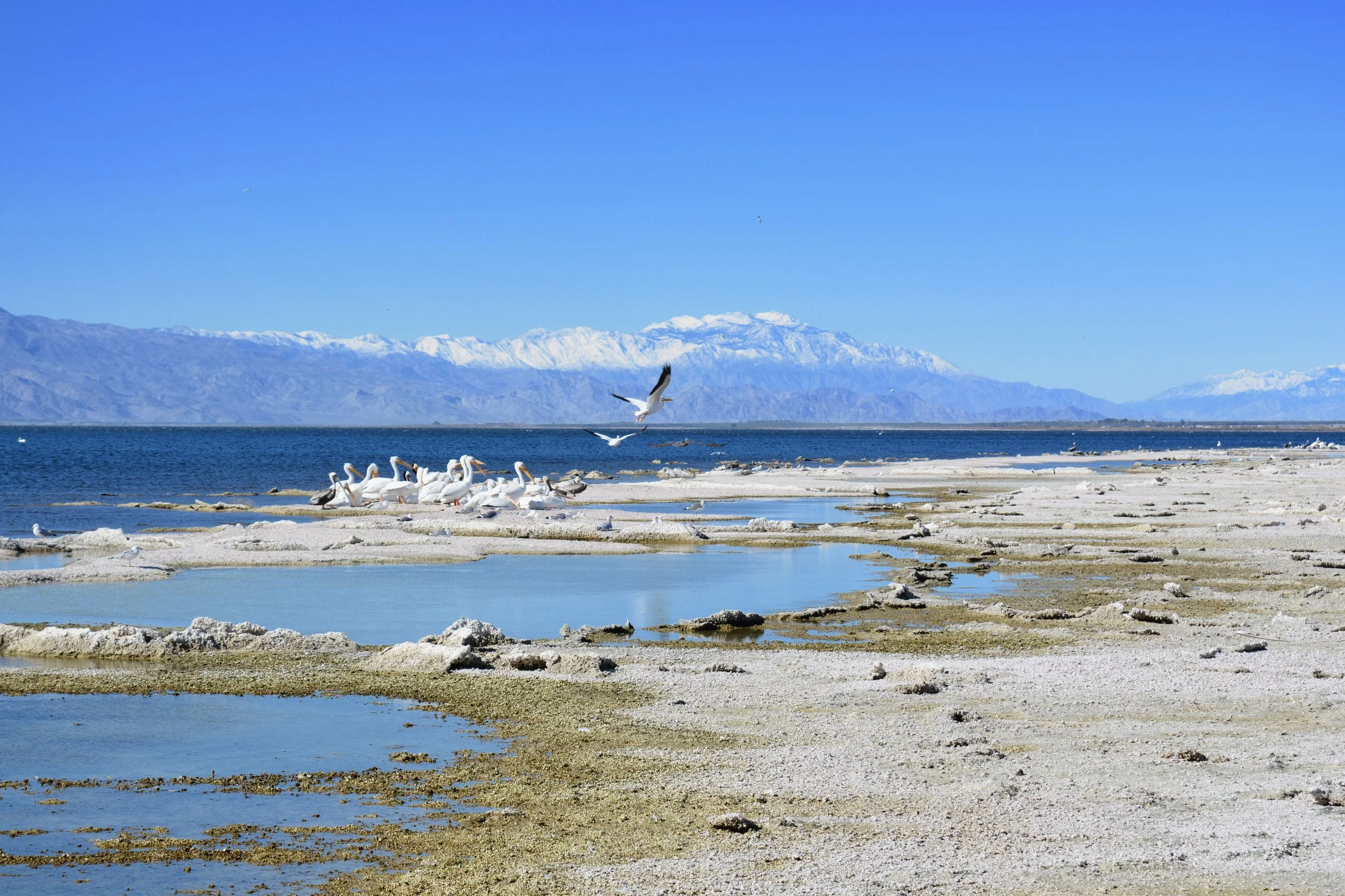DSC_3098.jpg