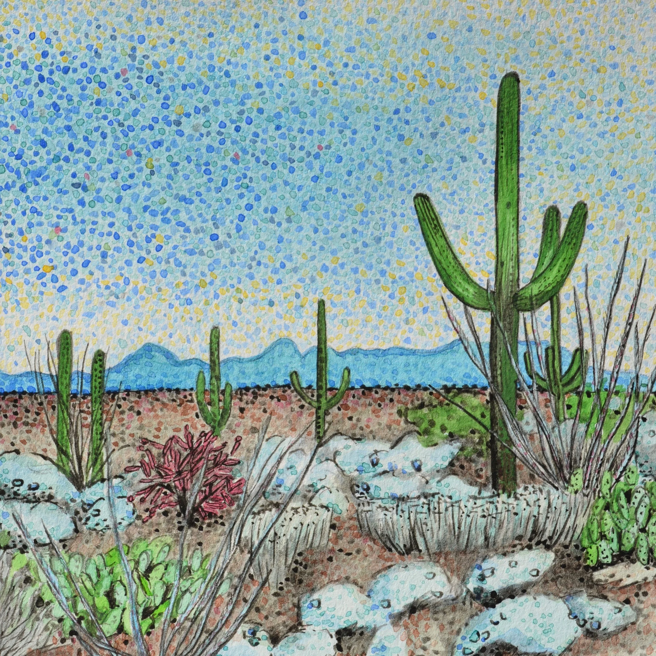 Saguaro National Park, Arizona: 1/19/17, 13:43:40