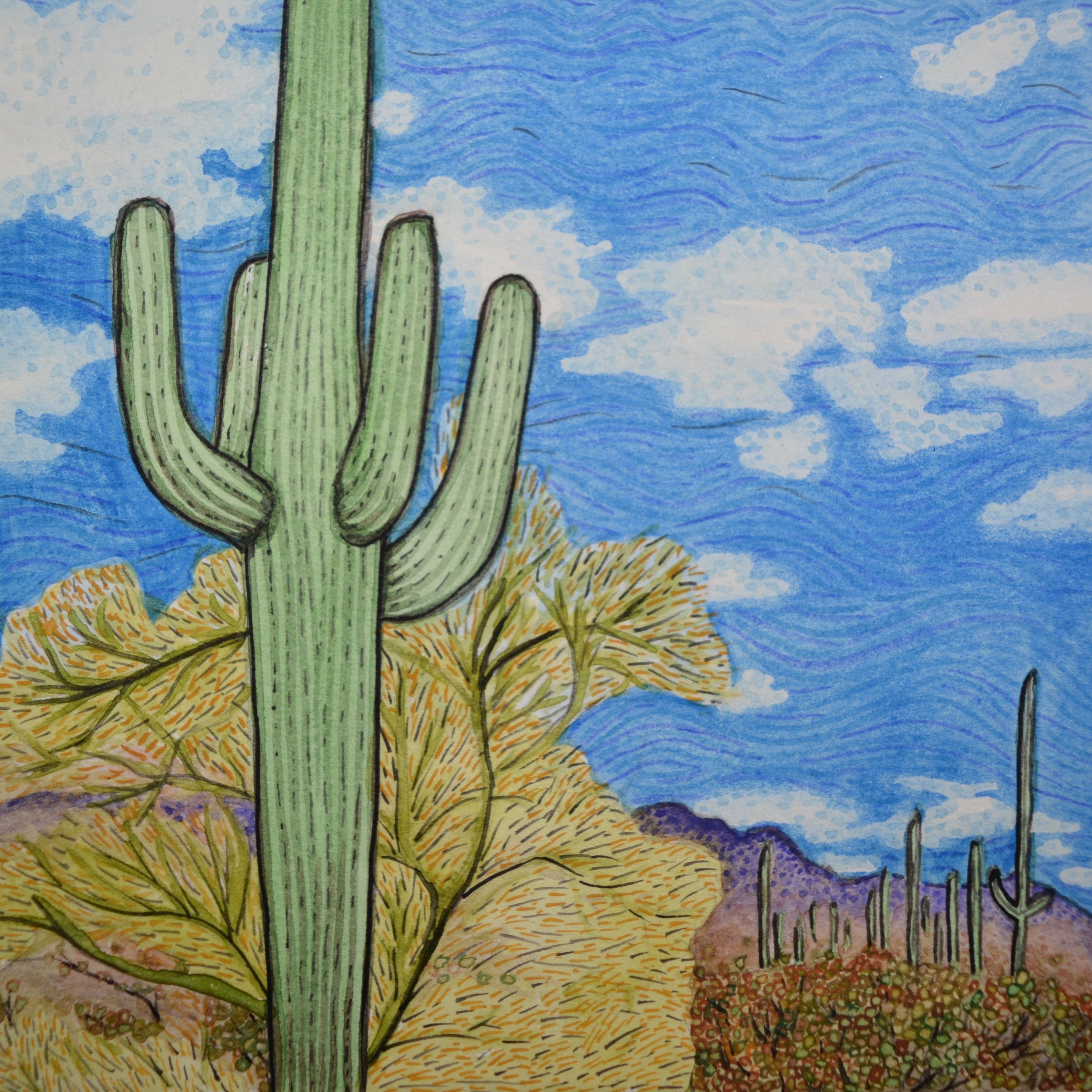 Organ Pipe Cactus National Monument, Arizona: 1/24/17, 16:57:46