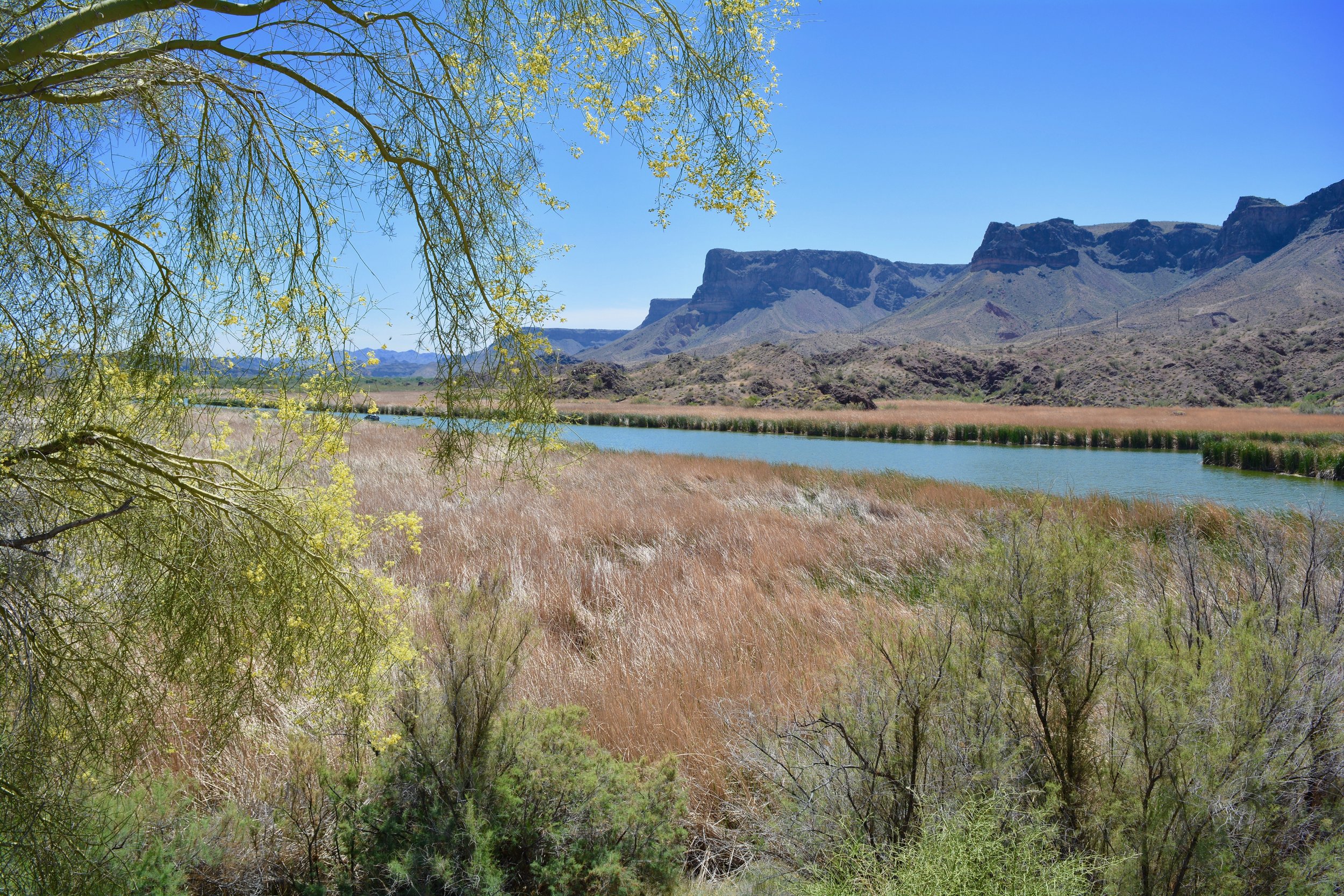 Lake Havasu near Parker, AZ
